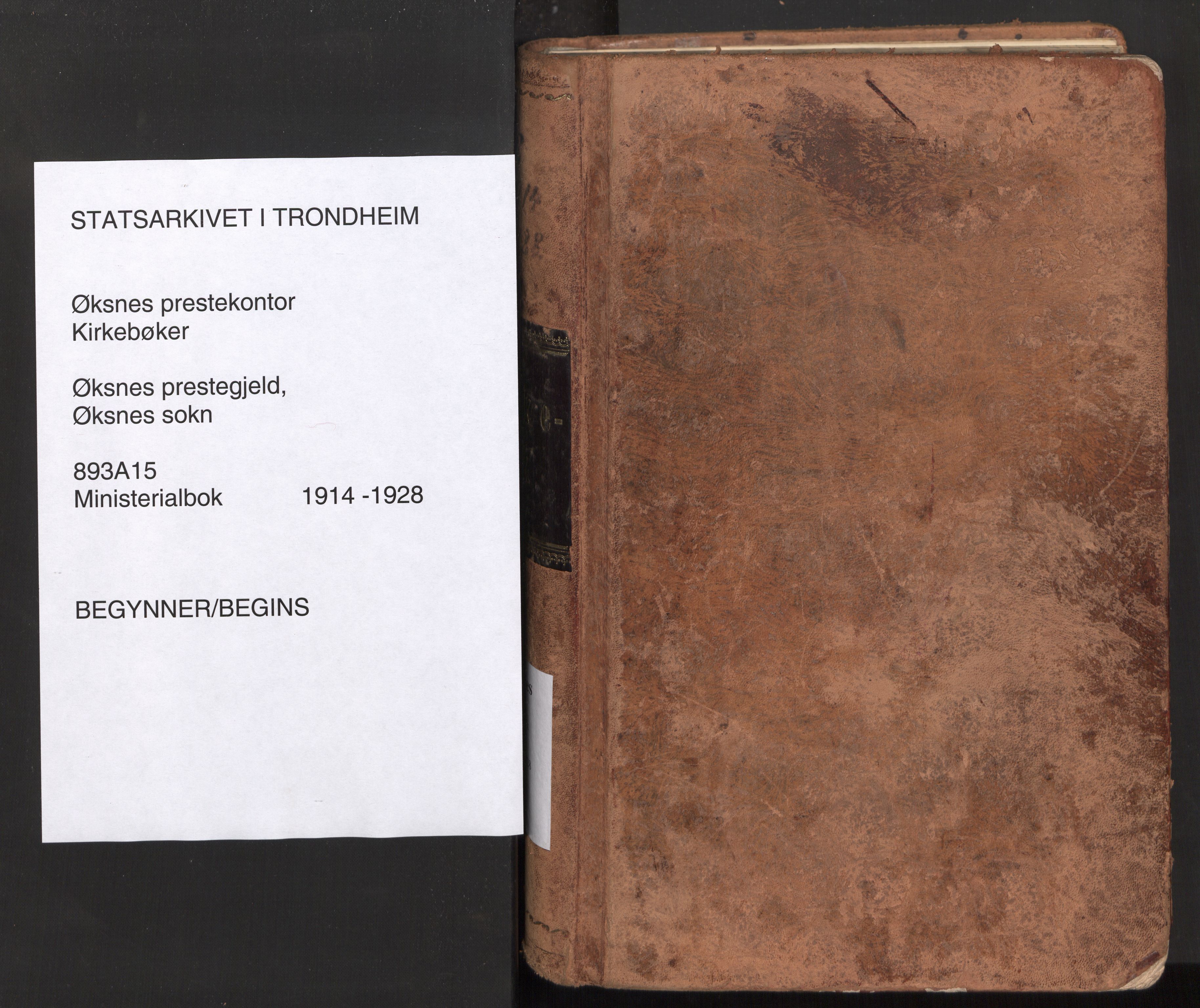 Ministerialprotokoller, klokkerbøker og fødselsregistre - Nordland, SAT/A-1459/893/L1343: Ministerialbok nr. 893A15, 1914-1928