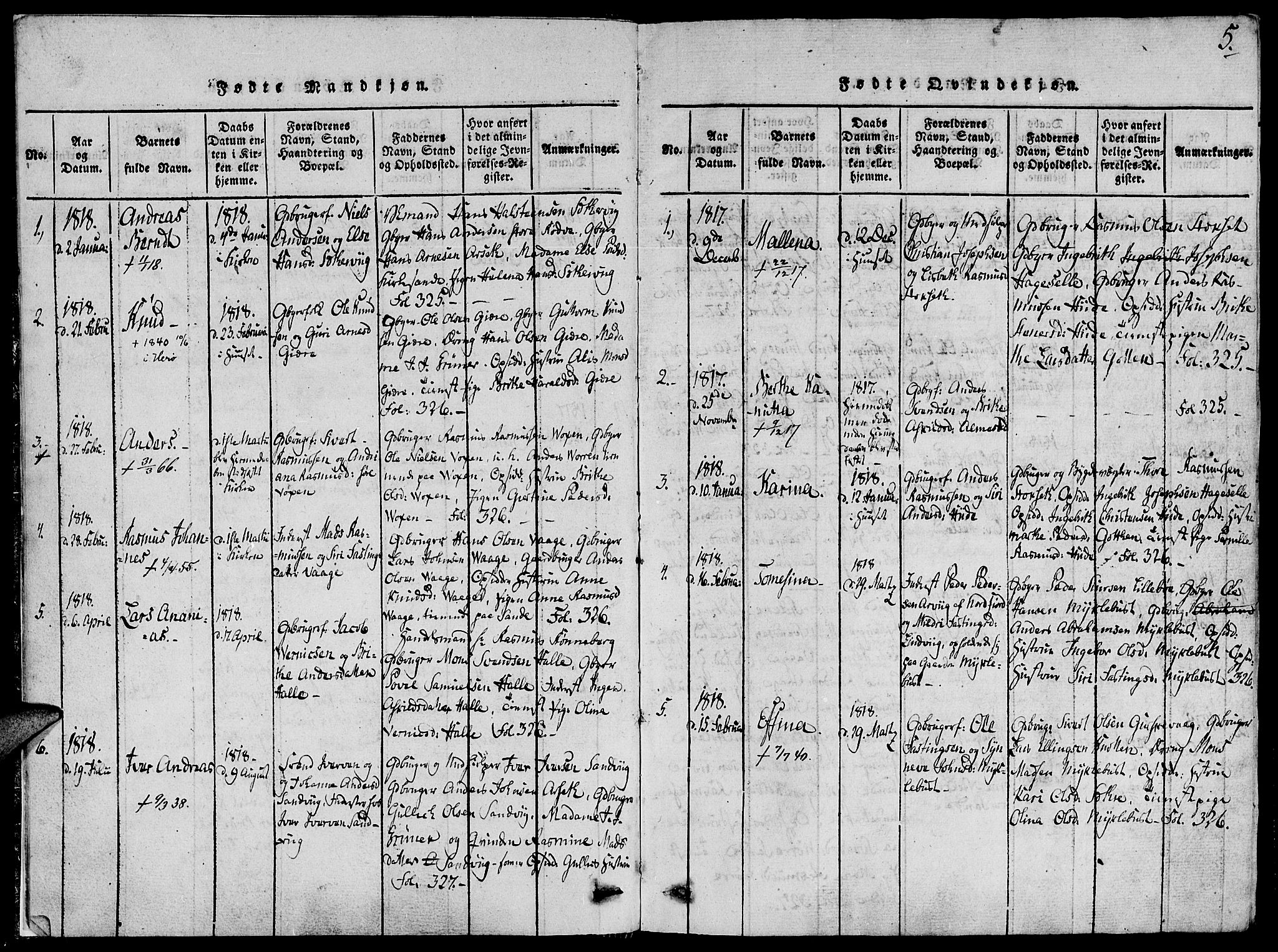 Ministerialprotokoller, klokkerbøker og fødselsregistre - Møre og Romsdal, AV/SAT-A-1454/503/L0033: Ministerialbok nr. 503A01, 1816-1841, s. 5