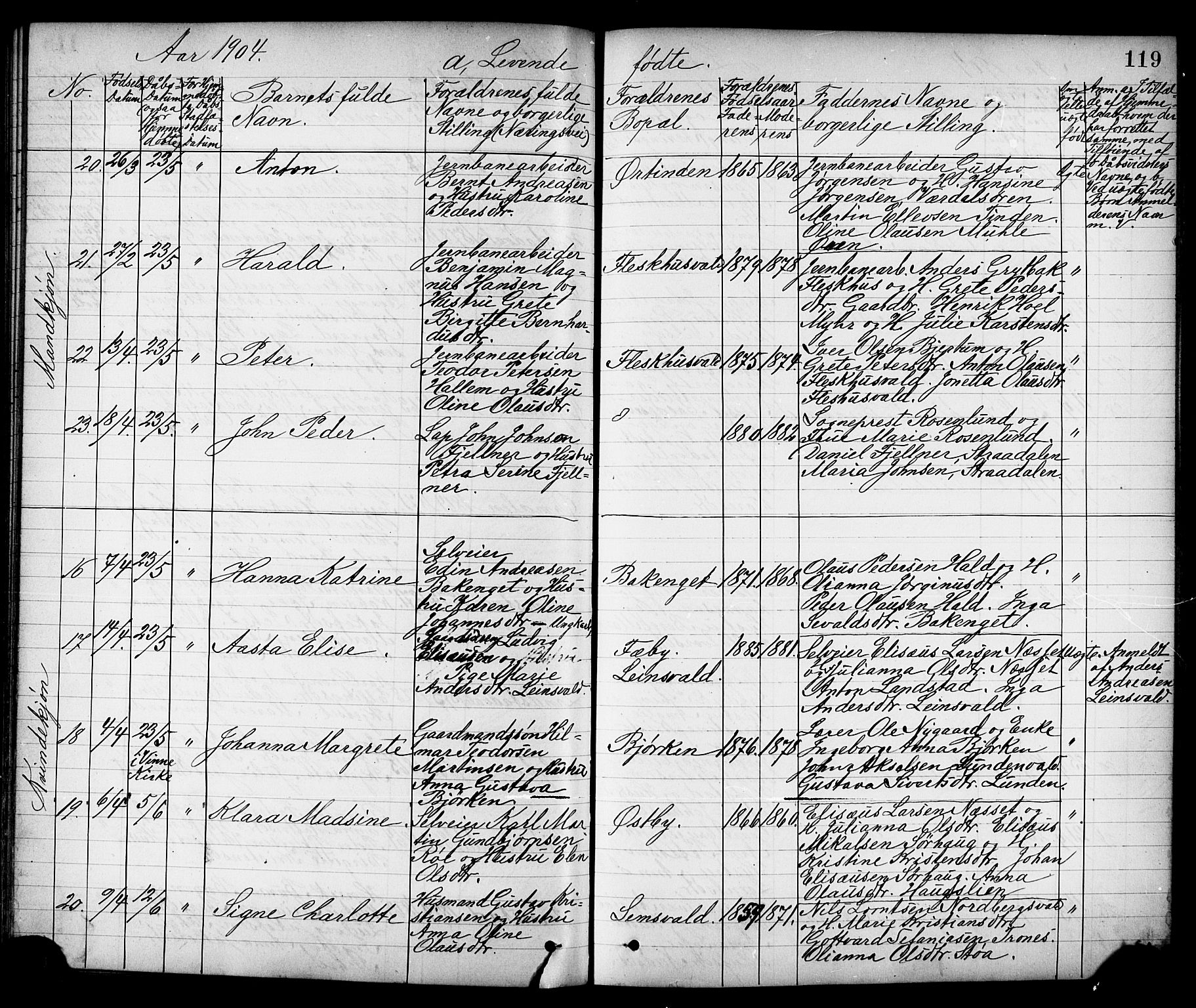 Ministerialprotokoller, klokkerbøker og fødselsregistre - Nord-Trøndelag, AV/SAT-A-1458/723/L0257: Klokkerbok nr. 723C05, 1890-1907, s. 119