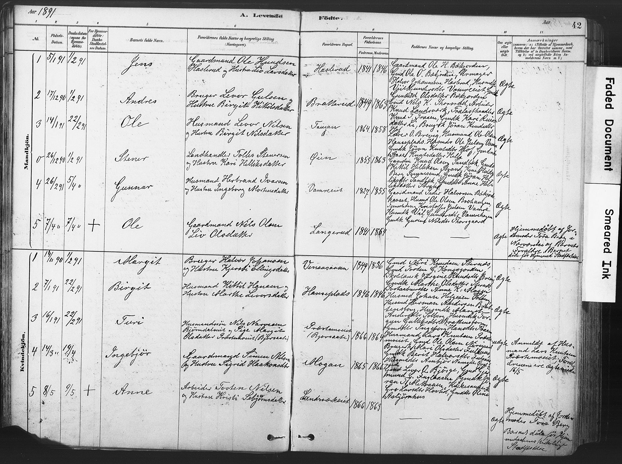 Rollag kirkebøker, AV/SAKO-A-240/F/Fa/L0011: Ministerialbok nr. I 11, 1878-1902, s. 42
