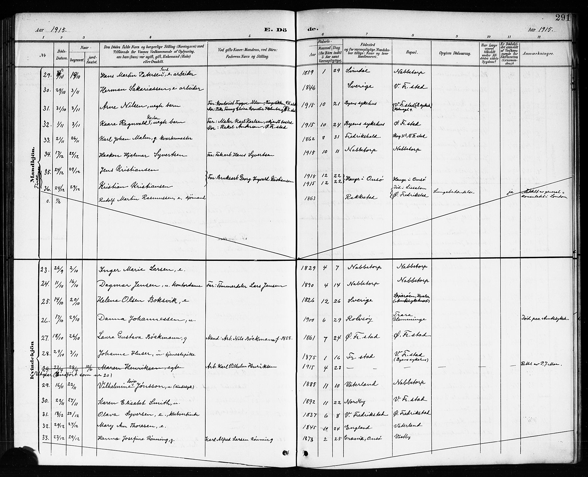 Østre Fredrikstad prestekontor Kirkebøker, AV/SAO-A-10907/G/Ga/L0002: Klokkerbok nr. 2, 1900-1919, s. 291