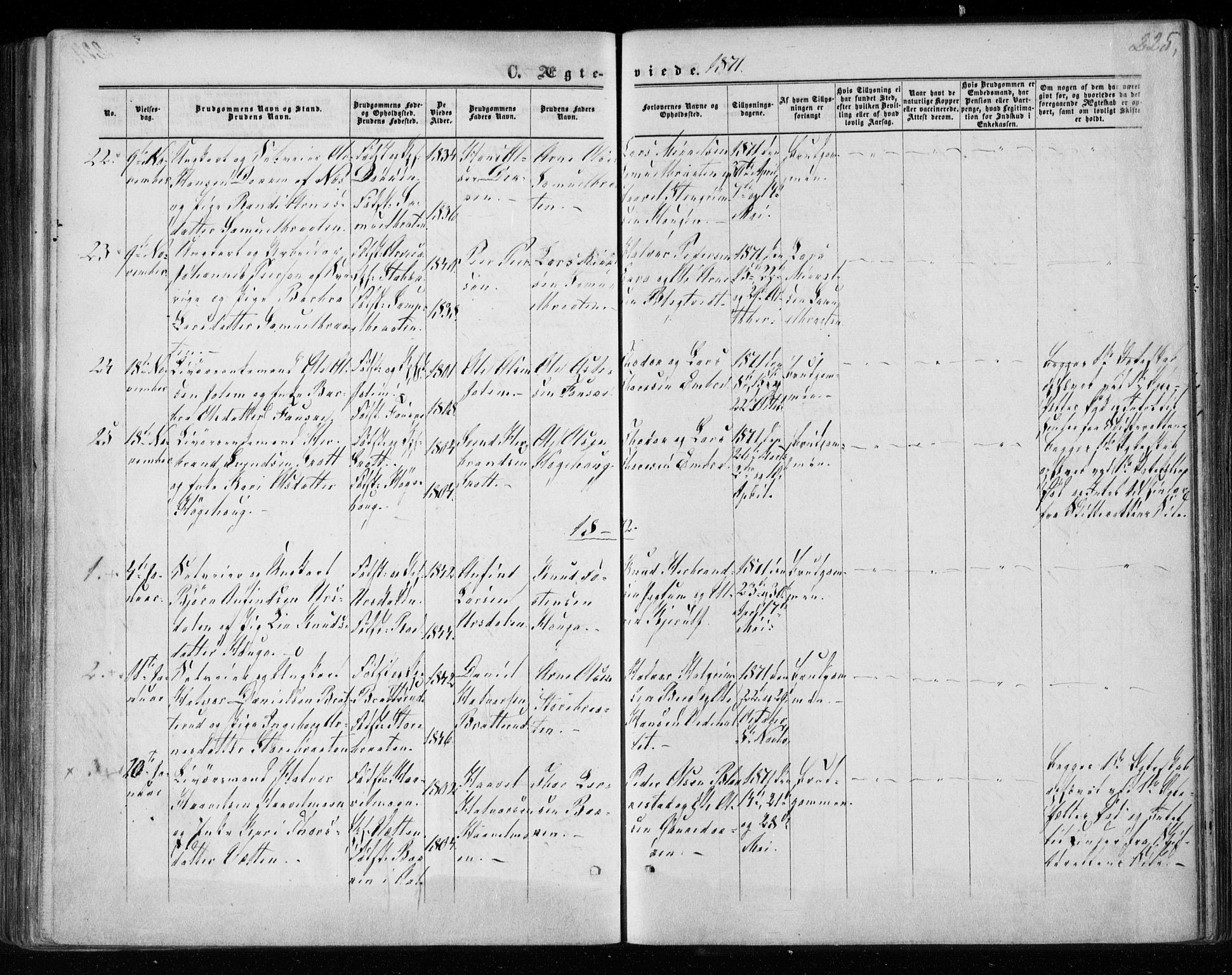 Gol kirkebøker, AV/SAKO-A-226/F/Fa/L0003: Ministerialbok nr. I 3, 1863-1875, s. 225