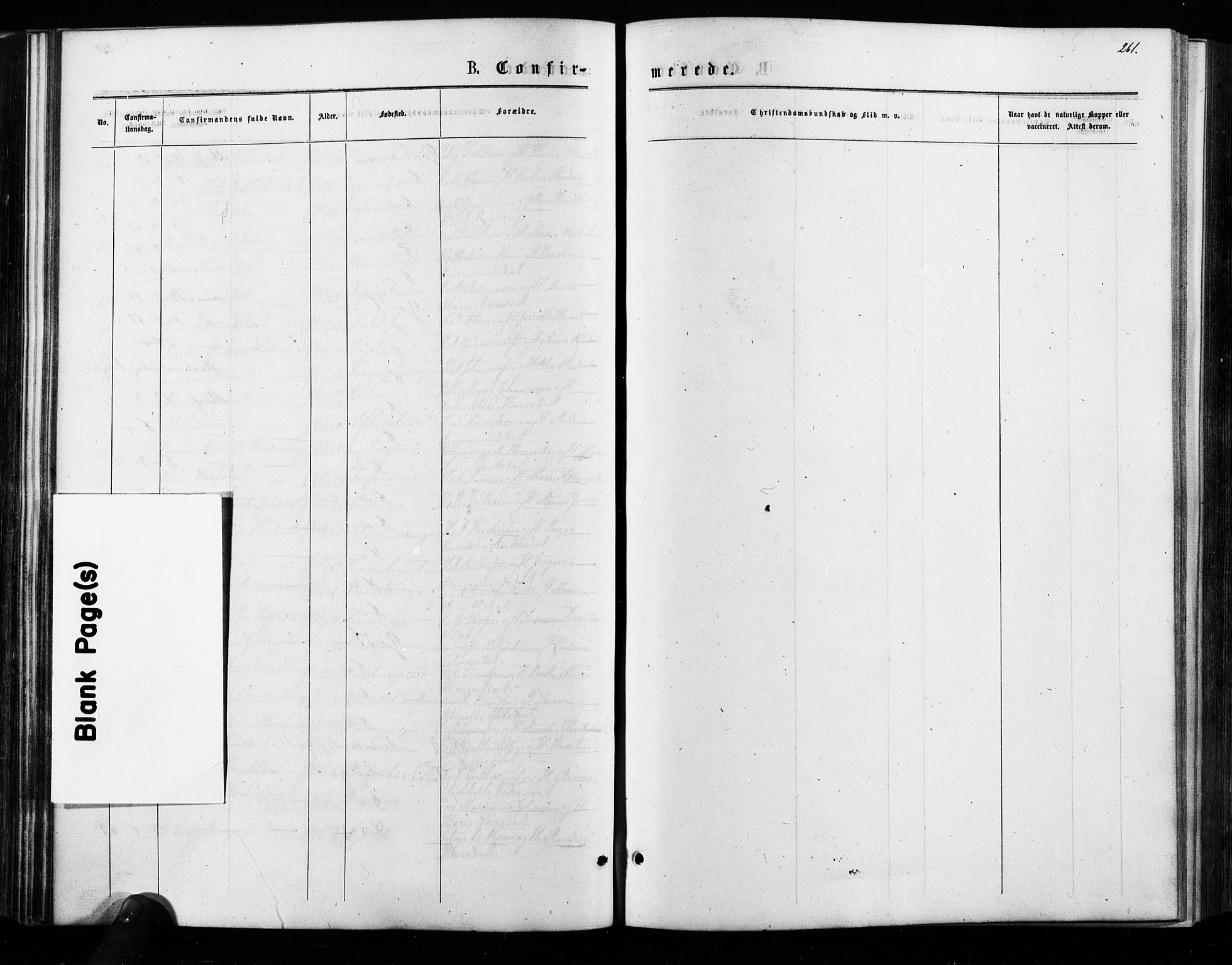 Nes prestekontor Kirkebøker, SAO/A-10410/F/Fa/L0009: Ministerialbok nr. I 9, 1875-1882, s. 261
