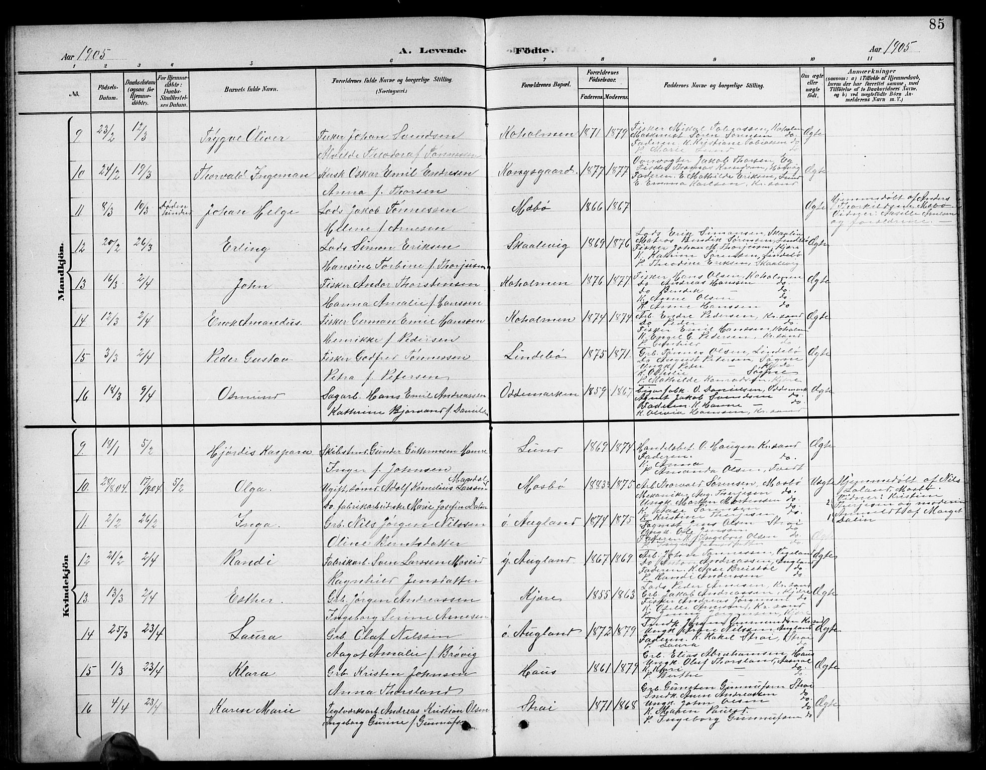 Oddernes sokneprestkontor, AV/SAK-1111-0033/F/Fb/Fba/L0009: Klokkerbok nr. B 9, 1899-1923, s. 85