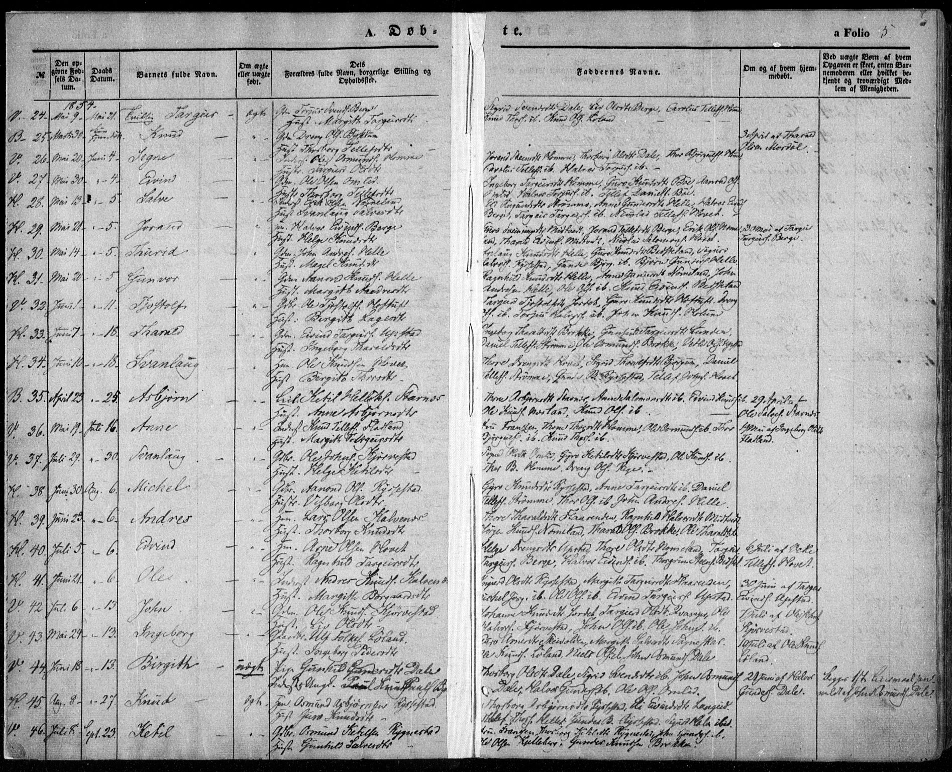 Valle sokneprestkontor, AV/SAK-1111-0044/F/Fa/Fac/L0007: Ministerialbok nr. A 7, 1854-1868, s. 5