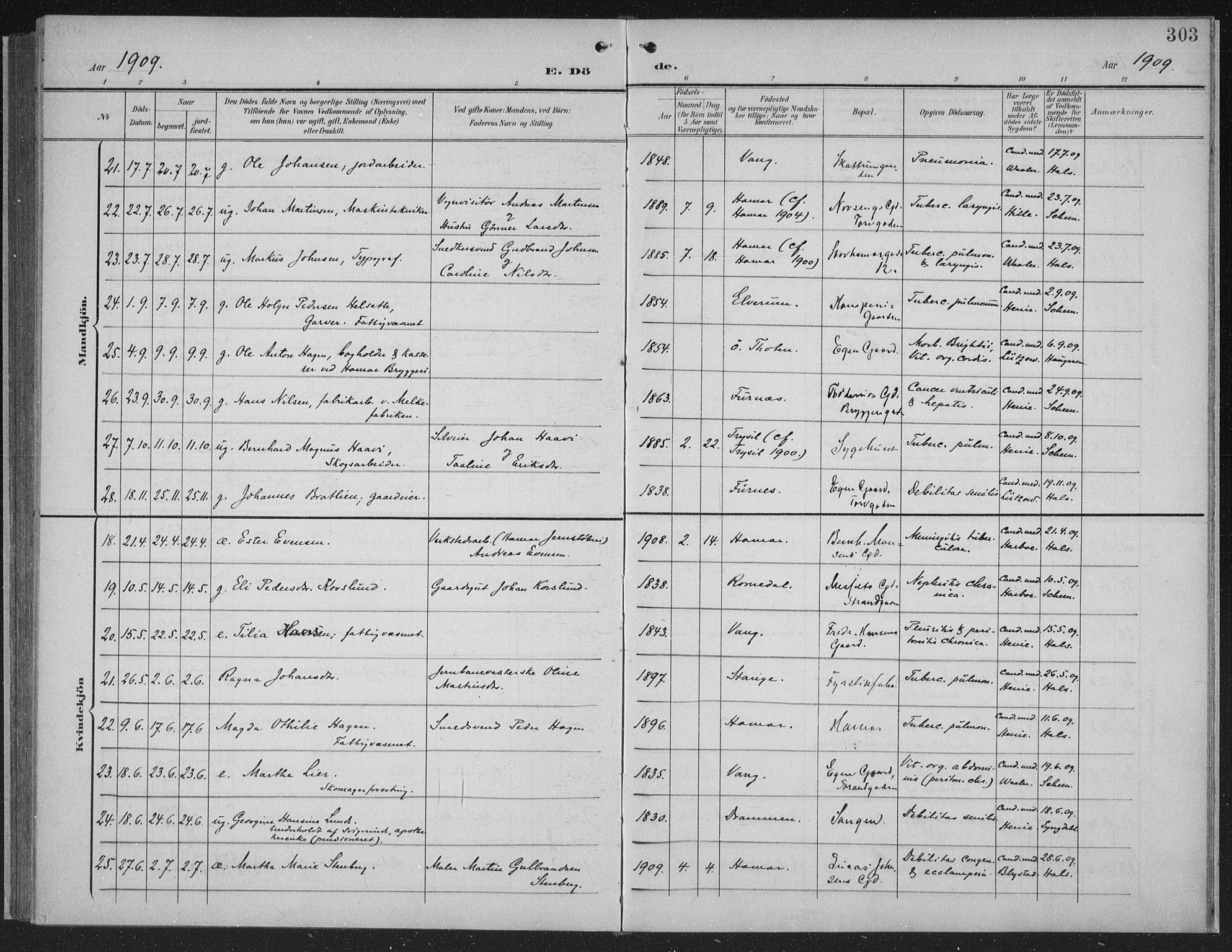 Hamar prestekontor, AV/SAH-DOMPH-002/H/Ha/Haa/L0001: Ministerialbok nr. 1, 1900-1914, s. 303