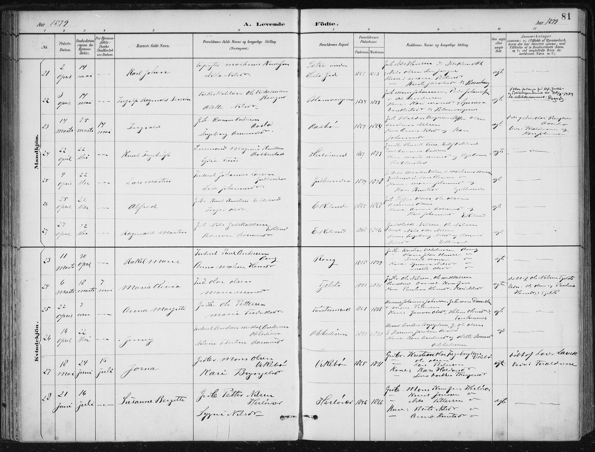 Herdla Sokneprestembete, AV/SAB-A-75701/H/Haa: Ministerialbok nr. A 4, 1891-1905, s. 81