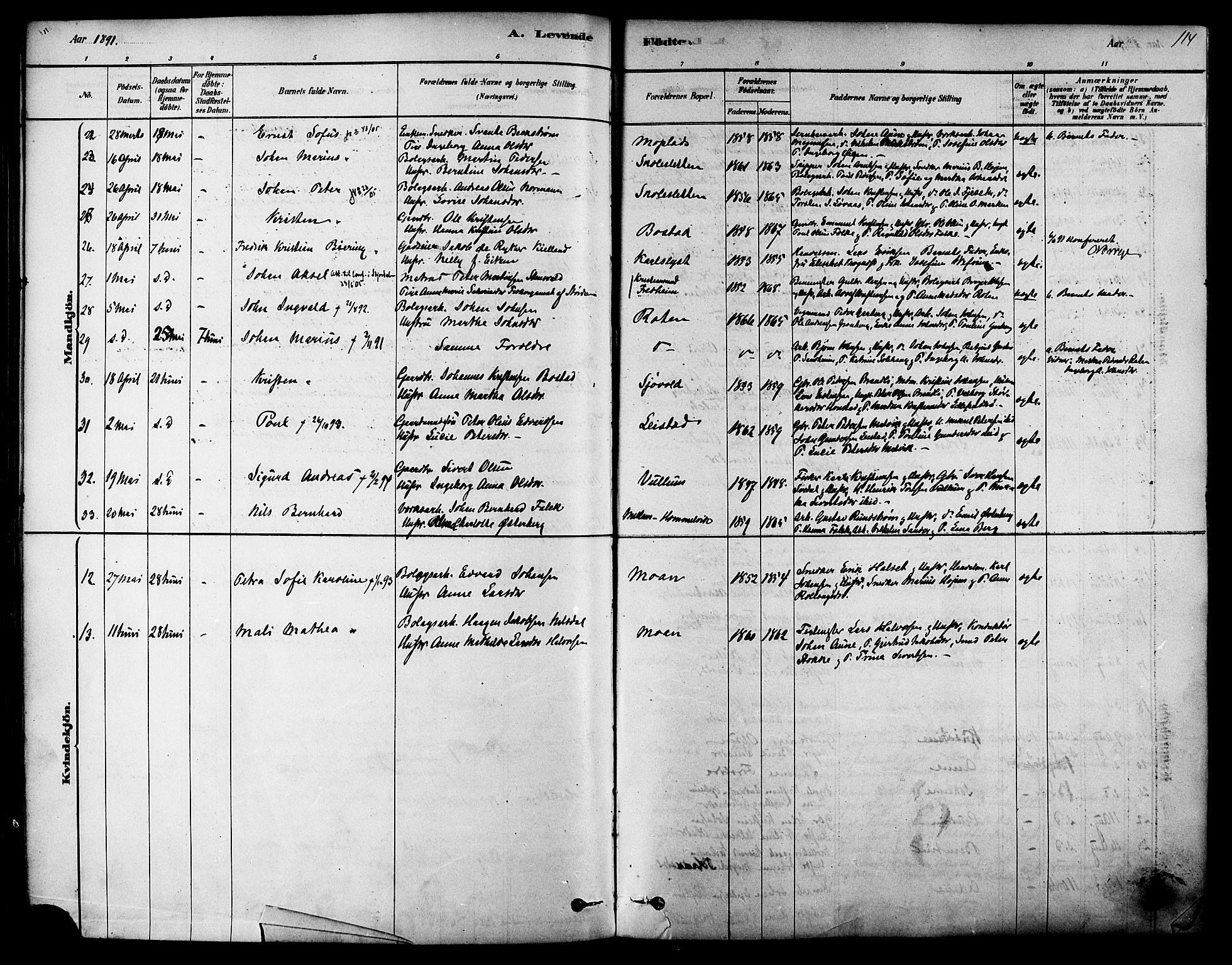 Ministerialprotokoller, klokkerbøker og fødselsregistre - Sør-Trøndelag, SAT/A-1456/616/L0410: Ministerialbok nr. 616A07, 1878-1893, s. 114a
