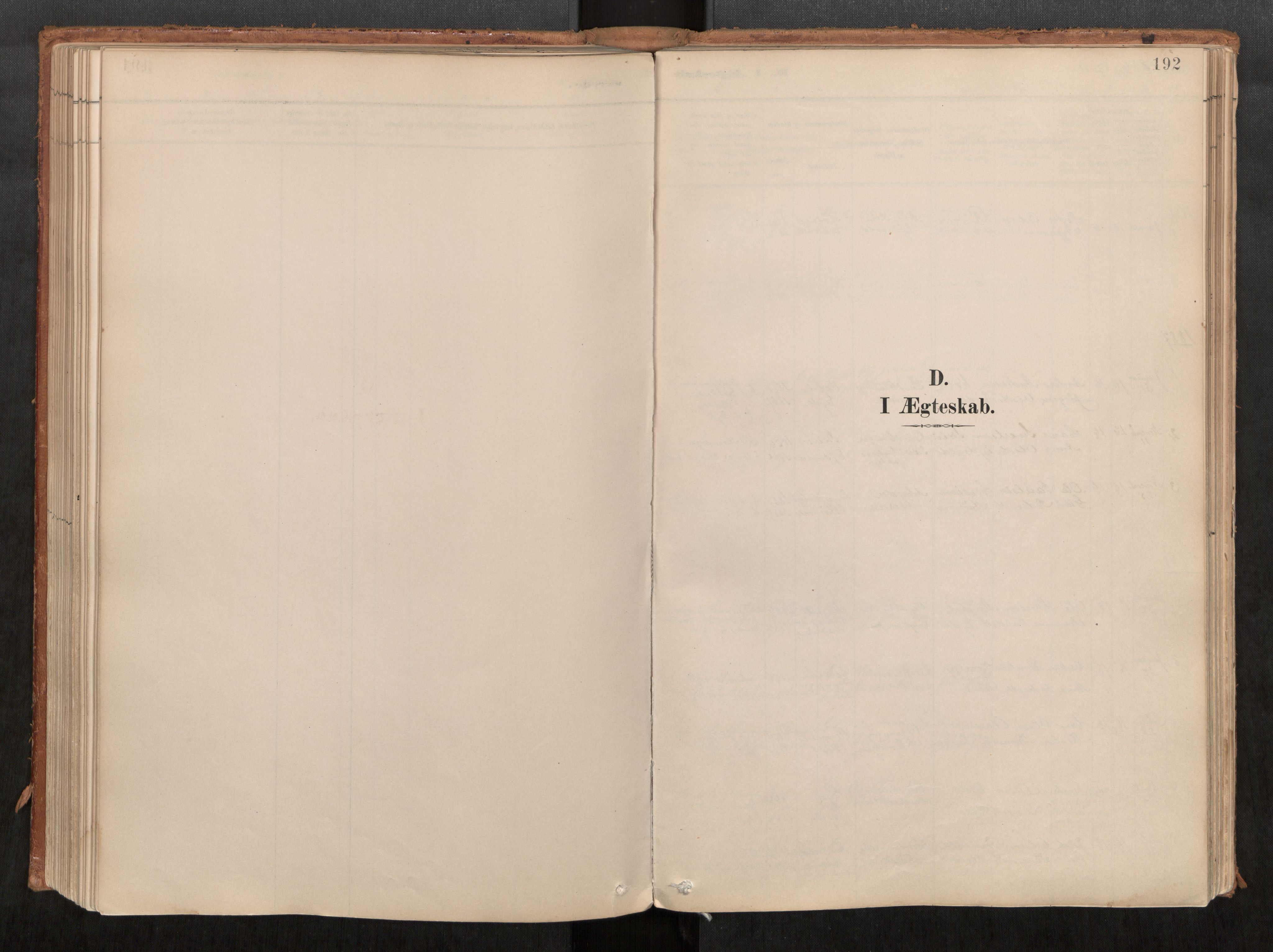 Ministerialprotokoller, klokkerbøker og fødselsregistre - Møre og Romsdal, SAT/A-1454/542/L0553: Ministerialbok nr. 542A03, 1885-1925, s. 192