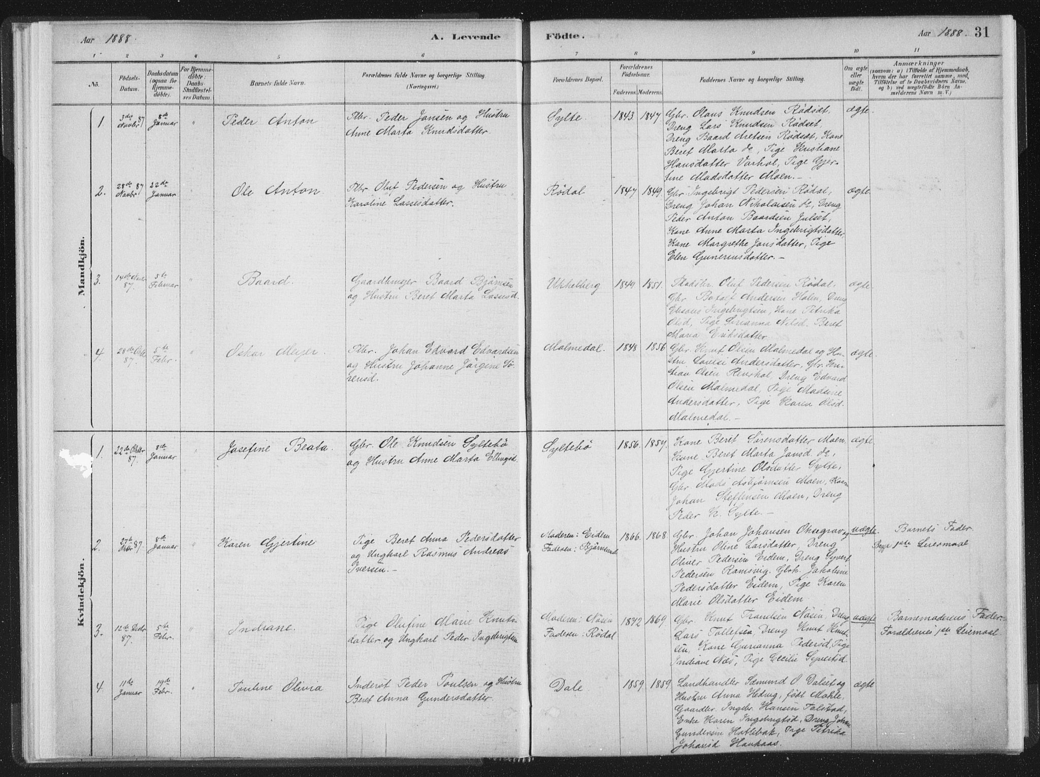 Ministerialprotokoller, klokkerbøker og fødselsregistre - Møre og Romsdal, SAT/A-1454/564/L0740: Ministerialbok nr. 564A01, 1880-1899, s. 31