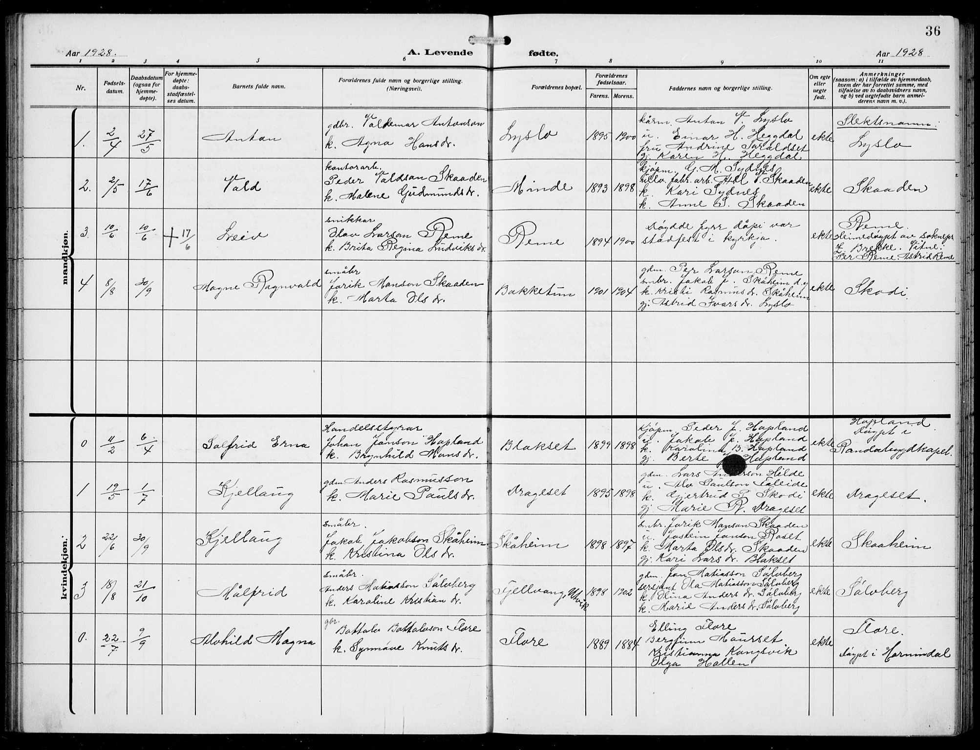 Innvik sokneprestembete, AV/SAB-A-80501: Klokkerbok nr. A 4, 1913-1936, s. 36
