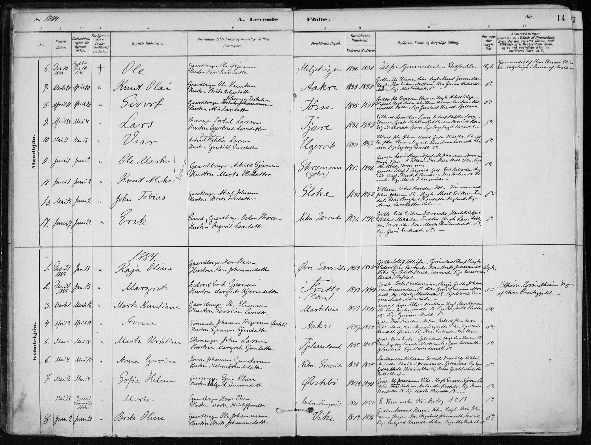 Skånevik sokneprestembete, AV/SAB-A-77801/H/Haa: Ministerialbok nr. E  1, 1879-1901, s. 14