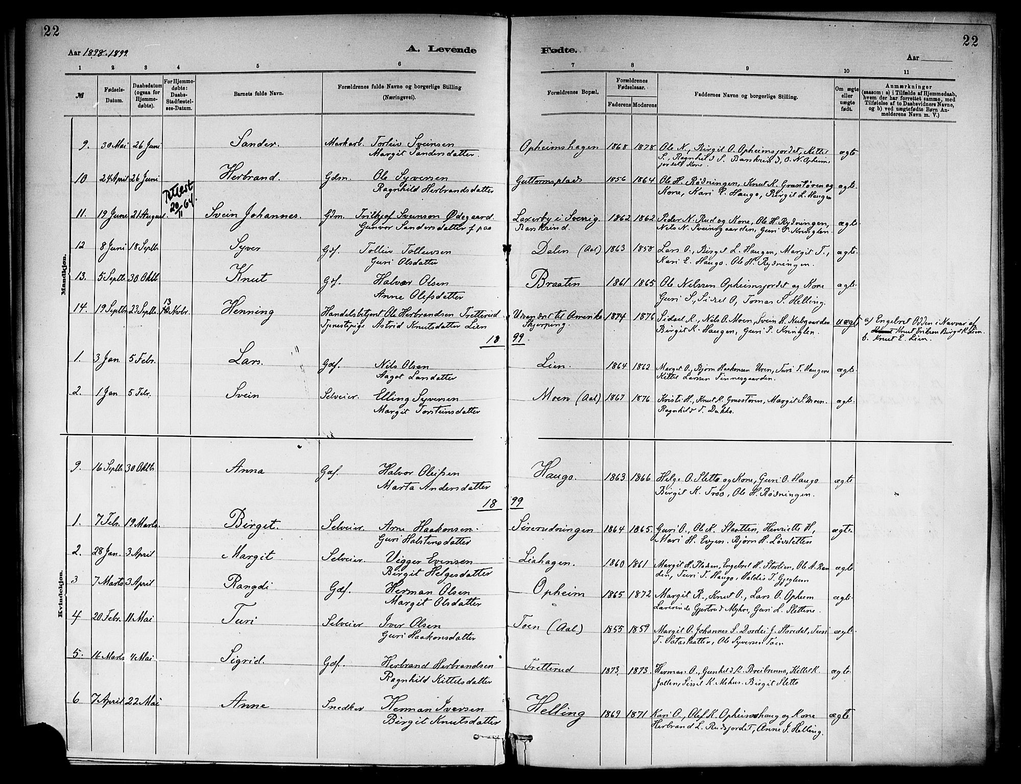 Ål kirkebøker, AV/SAKO-A-249/F/Fb/L0001: Ministerialbok nr. II 1, 1882-1899, s. 22