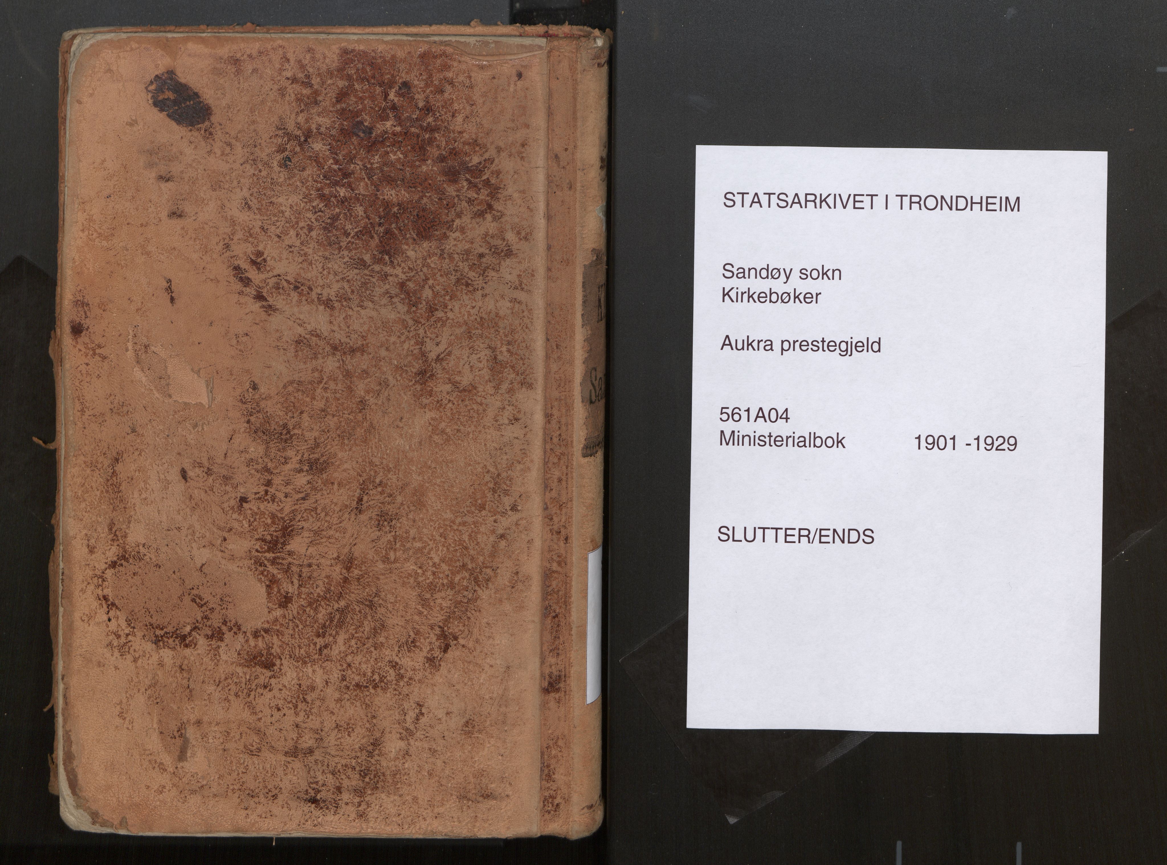 Ministerialprotokoller, klokkerbøker og fødselsregistre - Møre og Romsdal, AV/SAT-A-1454/561/L0730: Ministerialbok nr. 561A04, 1901-1929