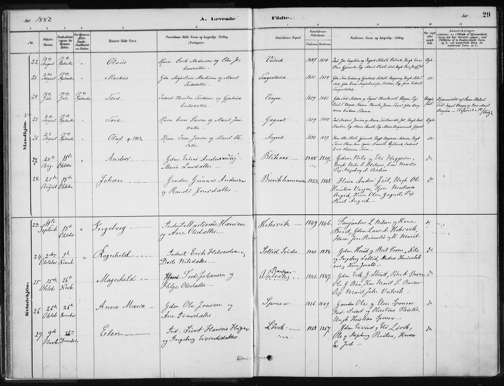 Ministerialprotokoller, klokkerbøker og fødselsregistre - Møre og Romsdal, AV/SAT-A-1454/586/L0987: Ministerialbok nr. 586A13, 1879-1892, s. 29