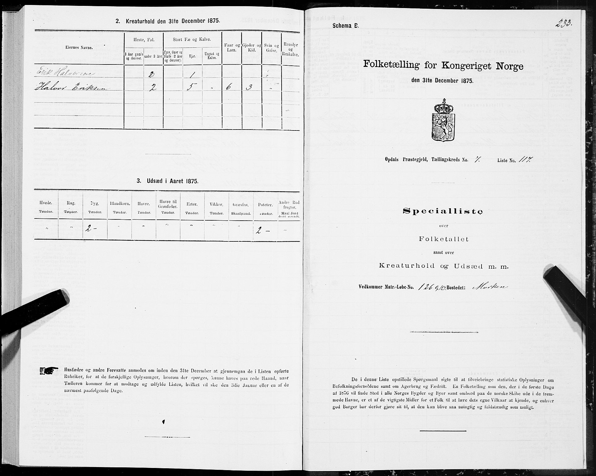 SAT, Folketelling 1875 for 1634P Oppdal prestegjeld, 1875, s. 4233