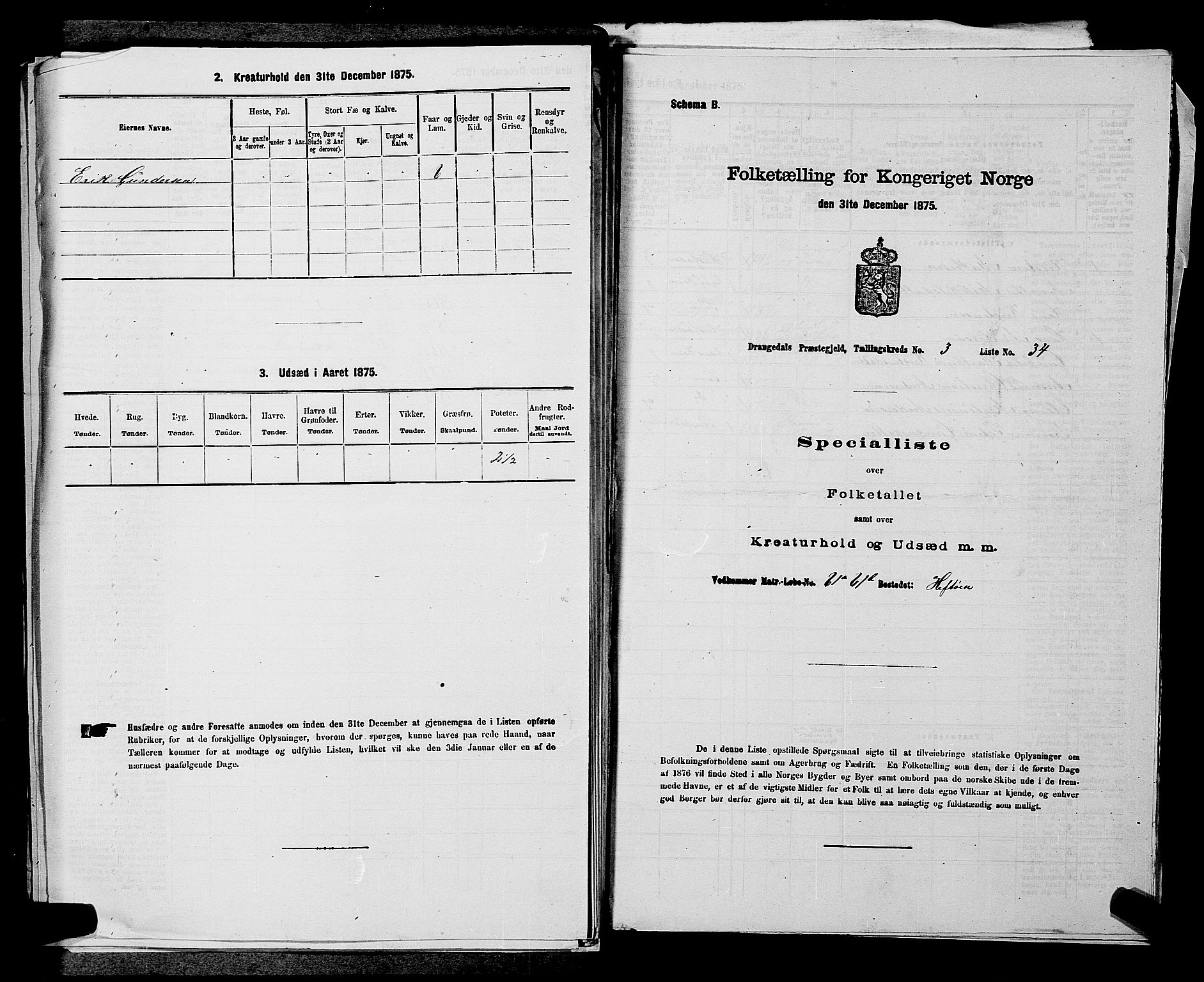 SAKO, Folketelling 1875 for 0817P Drangedal prestegjeld, 1875, s. 396