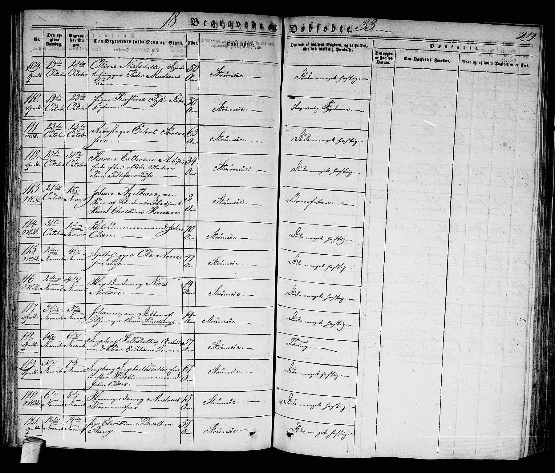 Strømsø kirkebøker, AV/SAKO-A-246/F/Fa/L0012: Ministerialbok nr. I 12, 1830-1847, s. 219