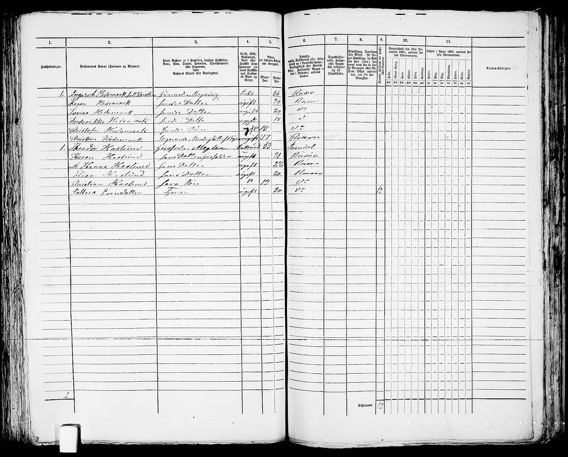 RA, Folketelling 1865 for 0901B Risør prestegjeld, Risør kjøpstad, 1865, s. 246