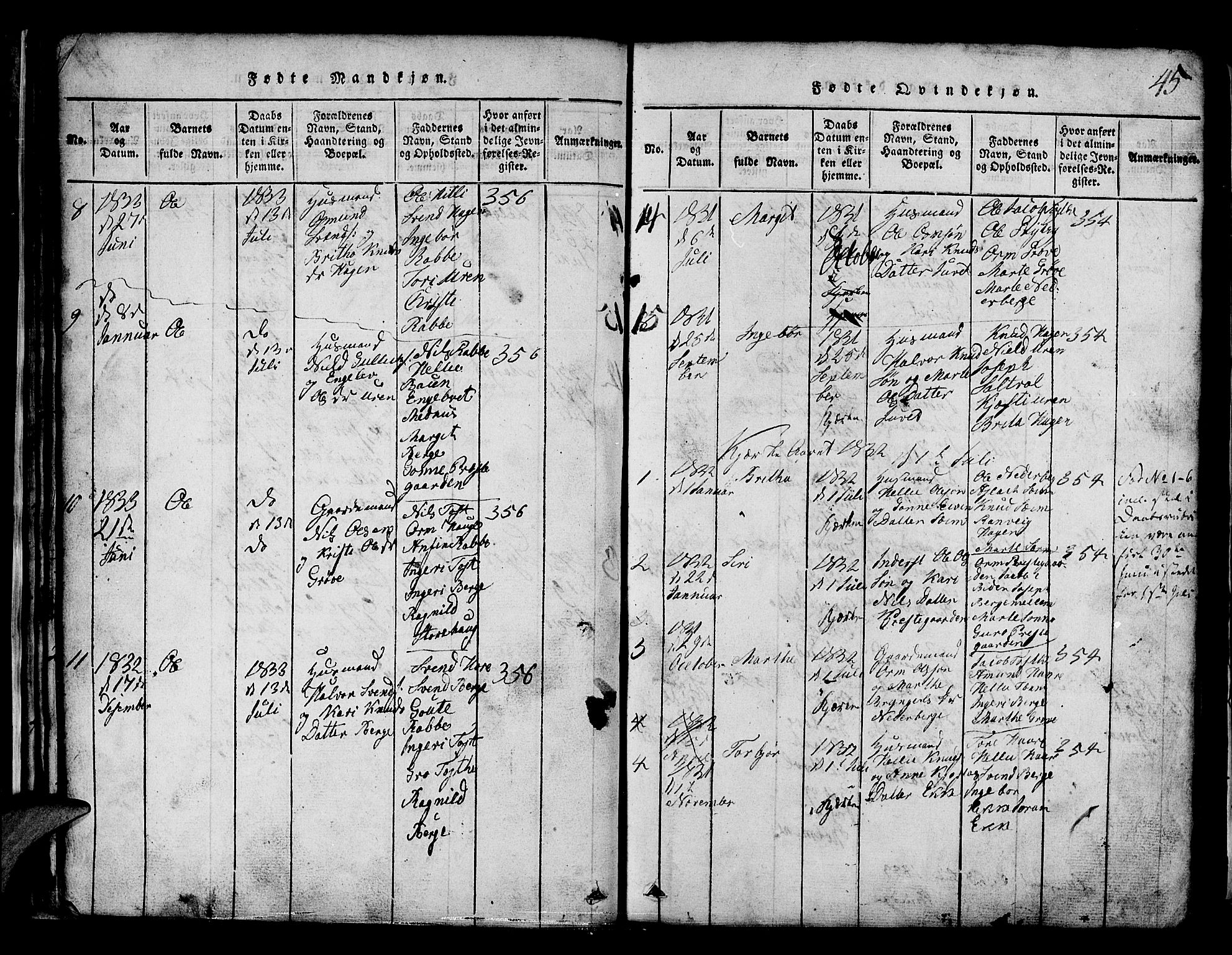 Røldal sokneprestembete, AV/SAB-A-100247: Klokkerbok nr. A 1, 1817-1860, s. 45