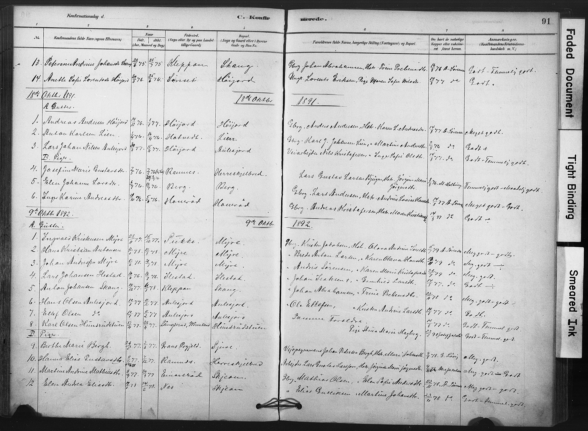 Andebu kirkebøker, AV/SAKO-A-336/F/Fb/L0001: Ministerialbok nr. II 1, 1878-1909, s. 91