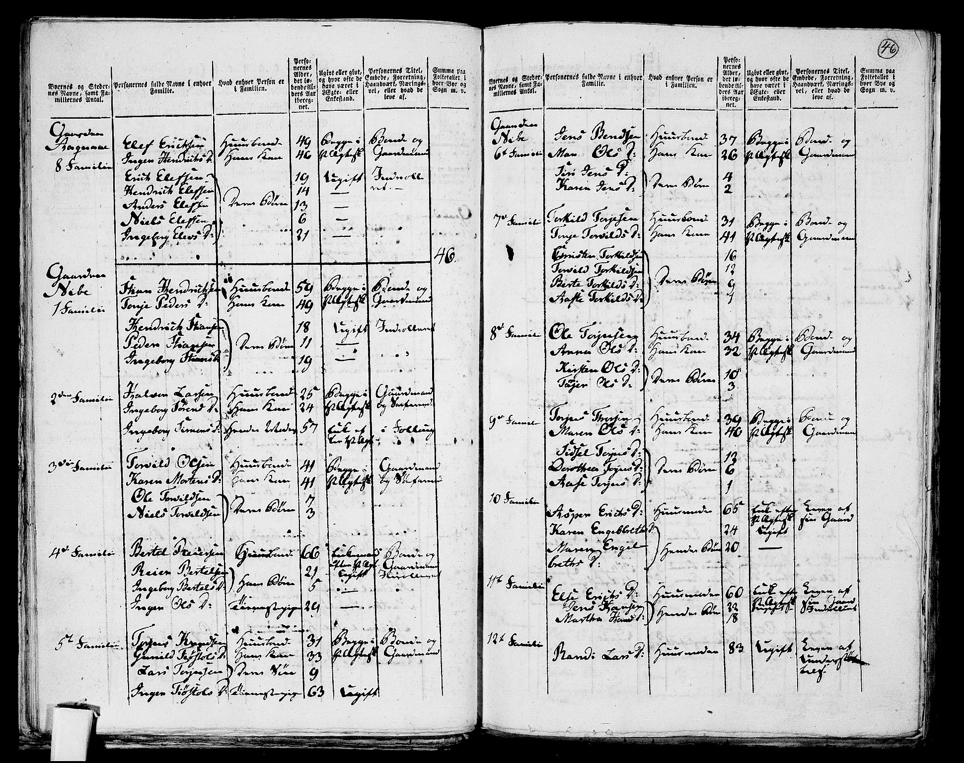 RA, Folketelling 1801 for 0901P Risør prestegjeld, 1801, s. 45b-46a