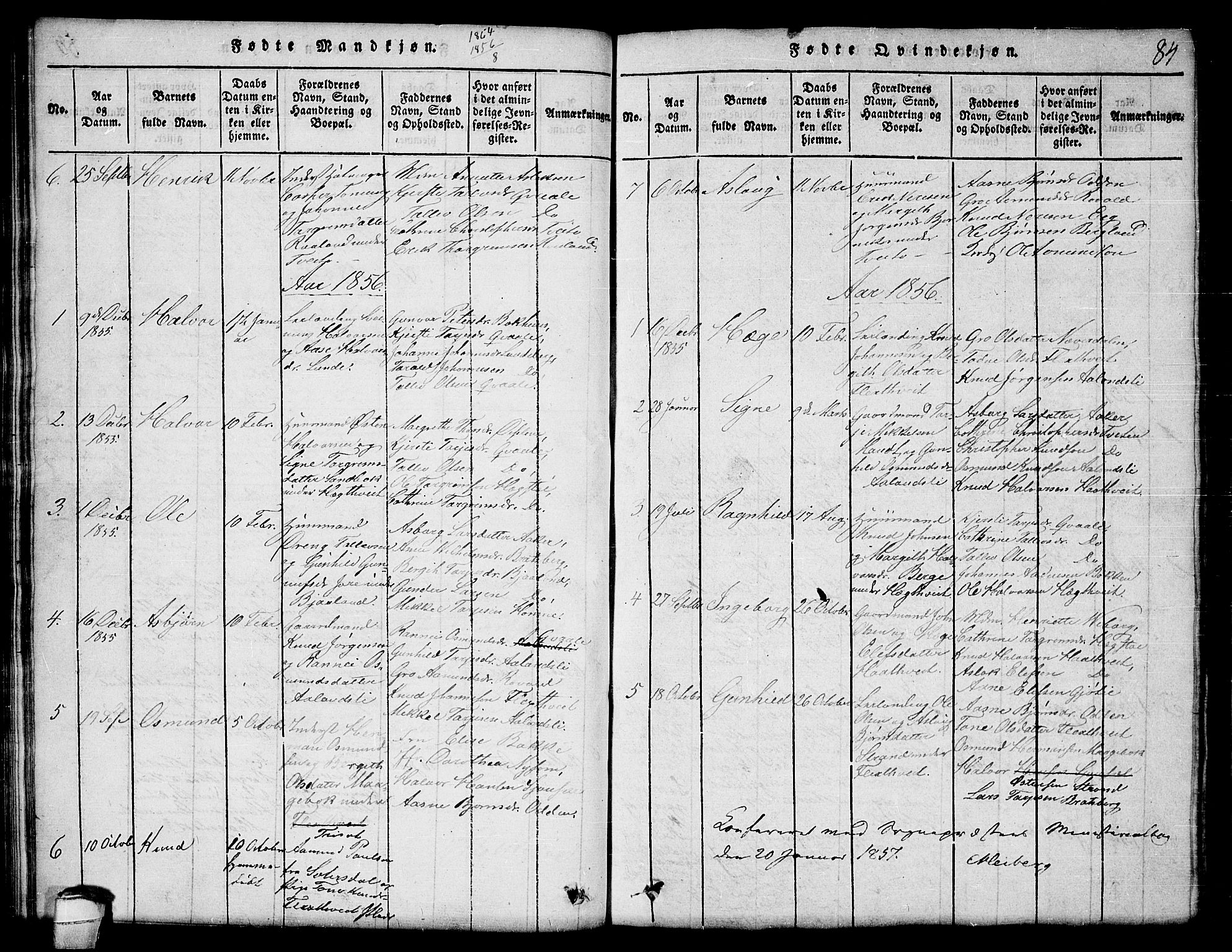 Lårdal kirkebøker, AV/SAKO-A-284/G/Ga/L0001: Klokkerbok nr. I 1, 1815-1861, s. 84