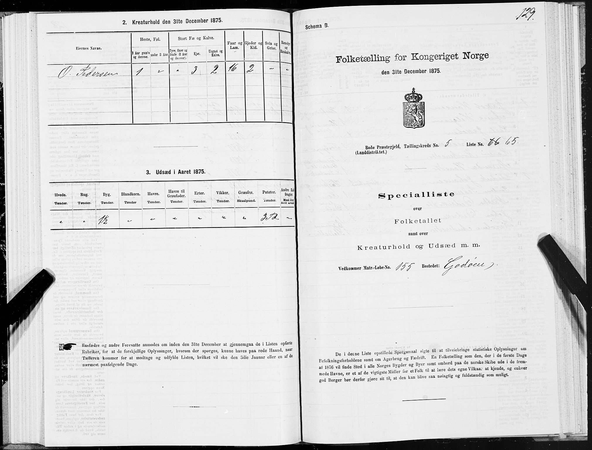 SAT, Folketelling 1875 for 1843L Bodø prestegjeld, Bodø landsokn, 1875, s. 3129