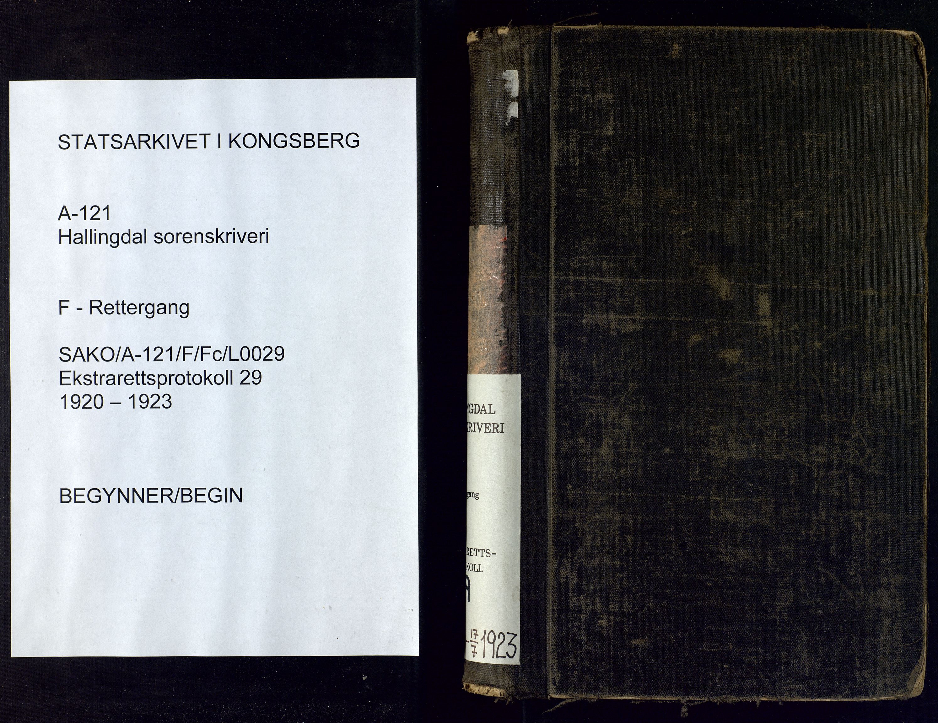 Hallingdal sorenskriveri, AV/SAKO-A-121/F/Fc/L0029: Ekstrarettsprotokoll, 1920-1923