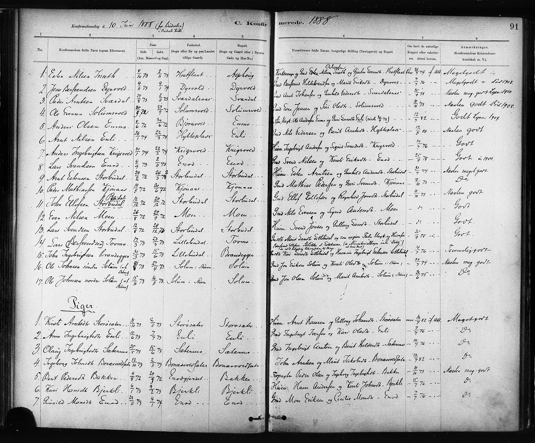 Ministerialprotokoller, klokkerbøker og fødselsregistre - Sør-Trøndelag, SAT/A-1456/687/L1002: Ministerialbok nr. 687A08, 1878-1890, s. 91