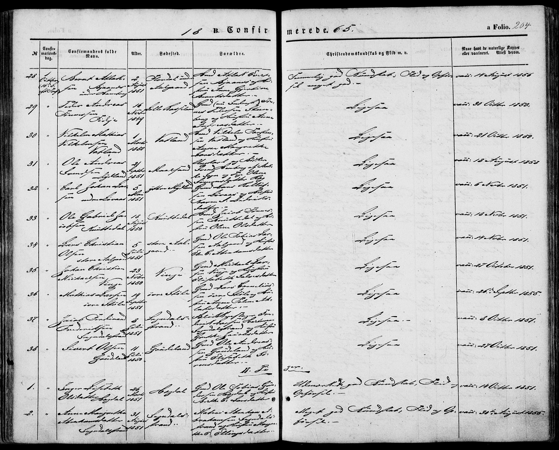 Sokndal sokneprestkontor, AV/SAST-A-101808: Ministerialbok nr. A 9, 1857-1874, s. 204