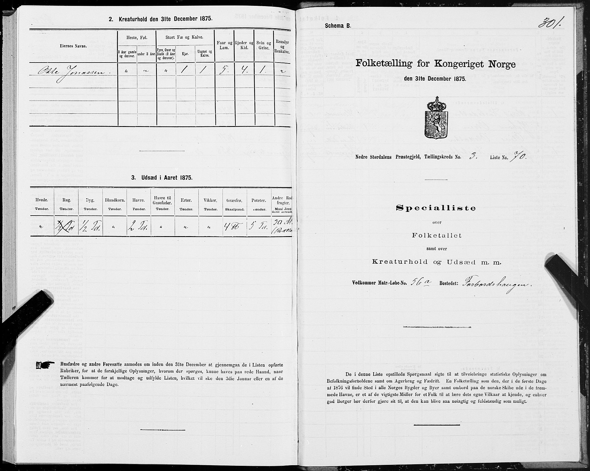 SAT, Folketelling 1875 for 1714P Nedre Stjørdal prestegjeld, 1875, s. 1301