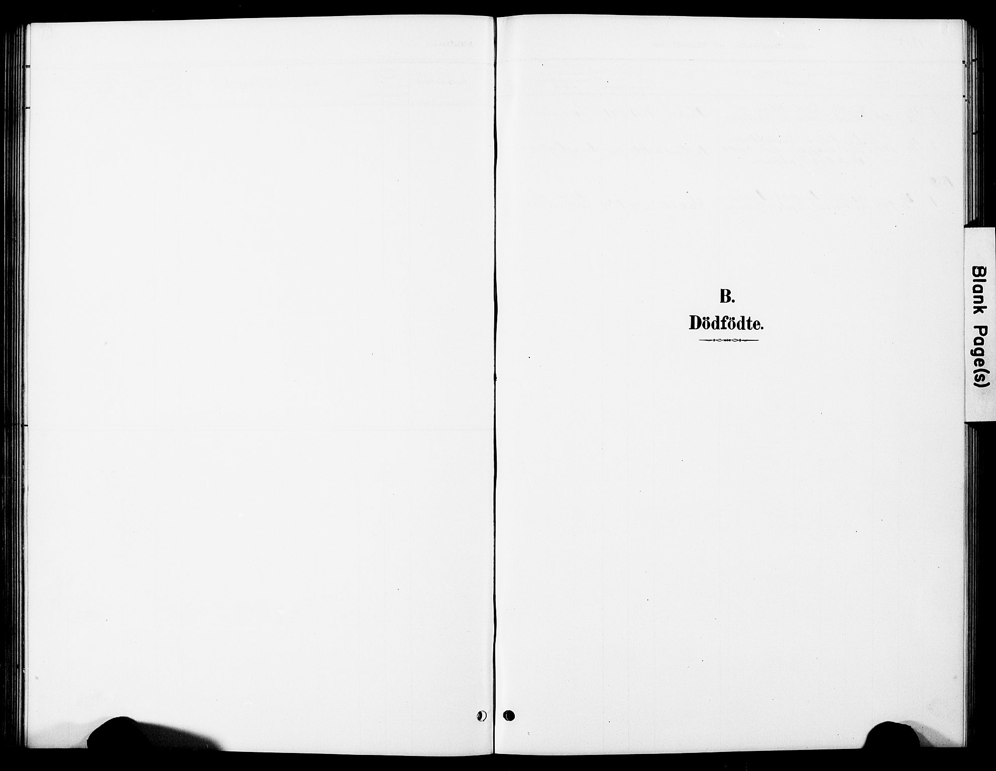 Ministerialprotokoller, klokkerbøker og fødselsregistre - Nordland, AV/SAT-A-1459/897/L1413: Klokkerbok nr. 897C03, 1887-1903