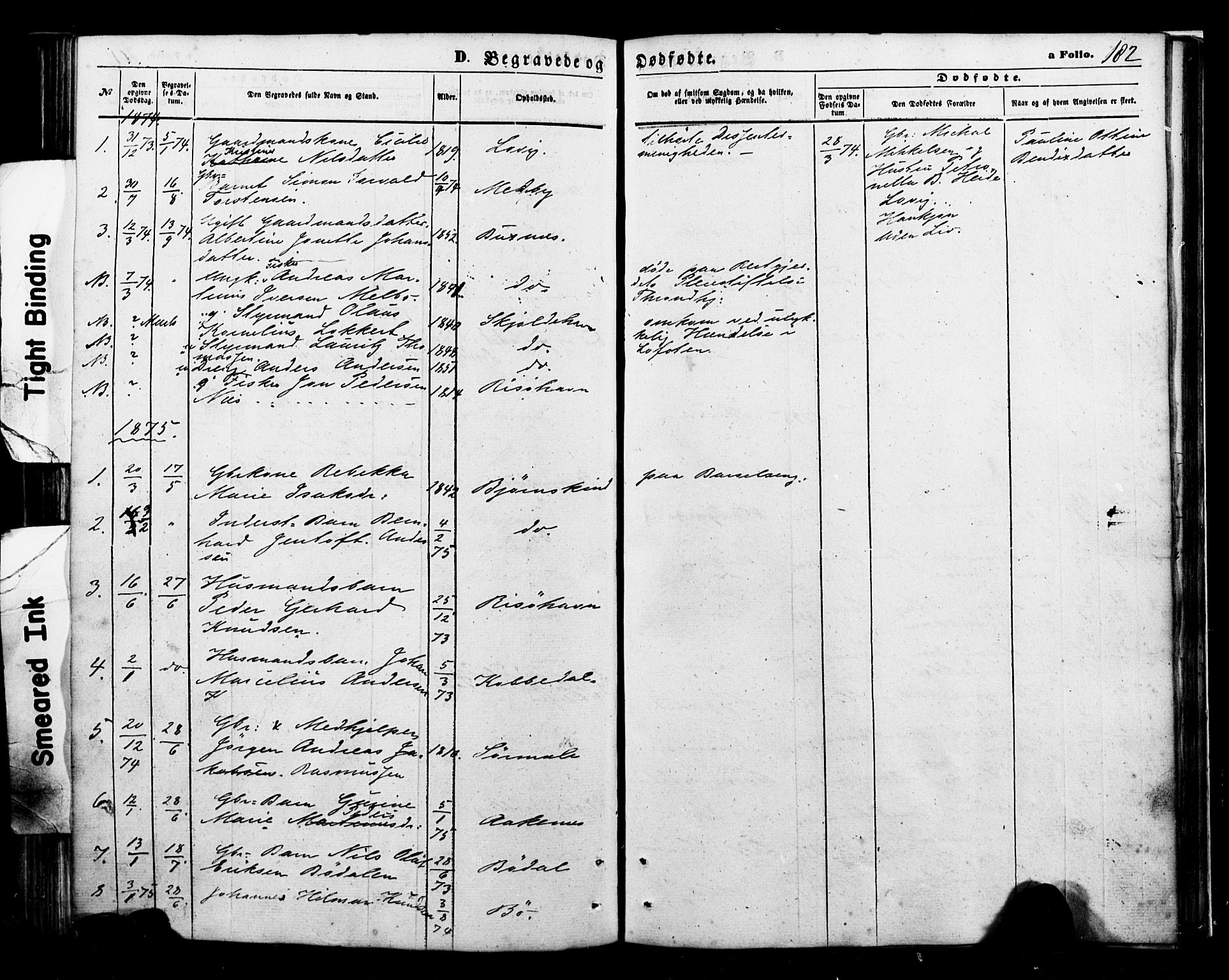 Ministerialprotokoller, klokkerbøker og fødselsregistre - Nordland, SAT/A-1459/898/L1421: Ministerialbok nr. 898A01, 1866-1886, s. 182