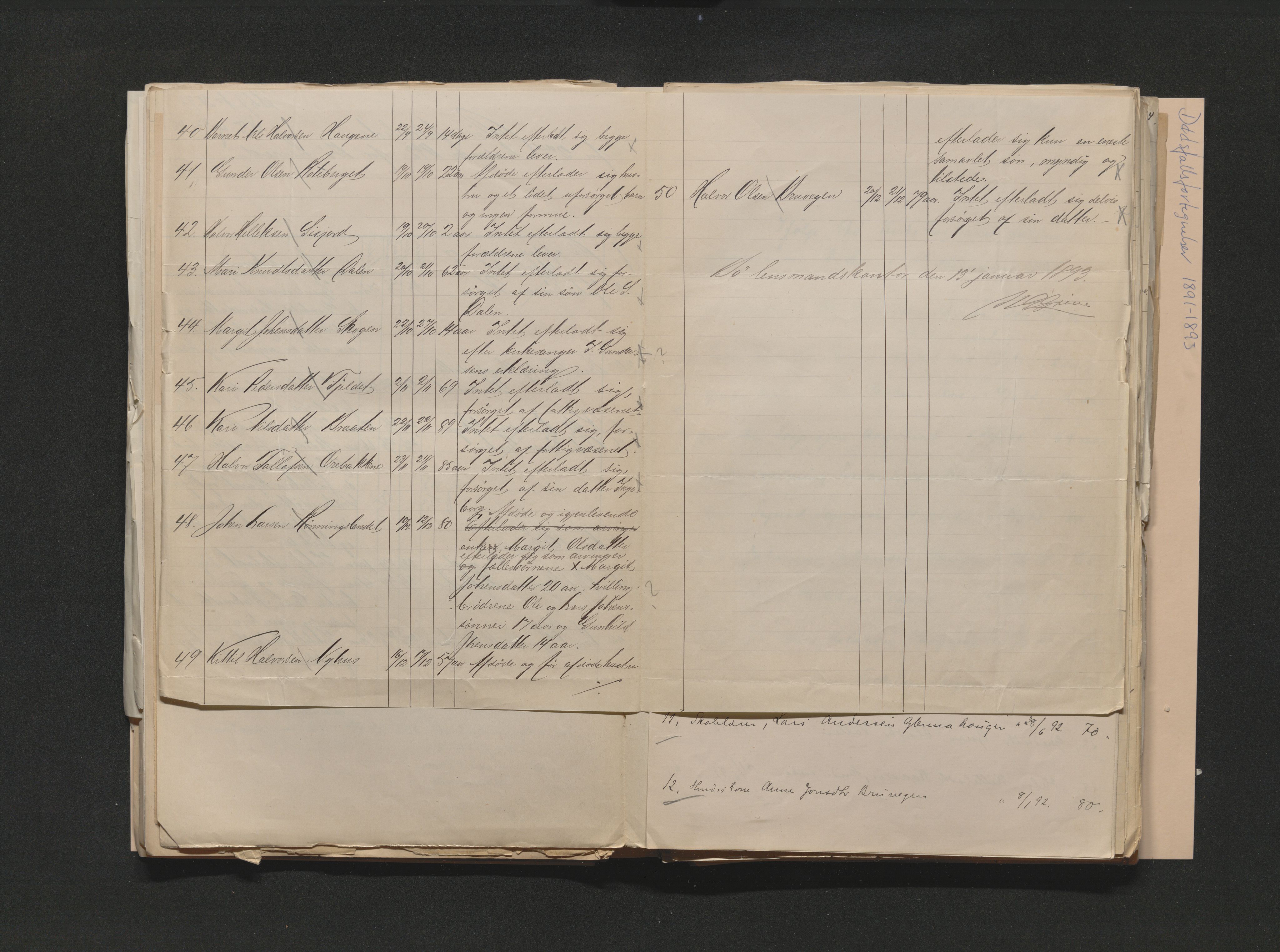 Nedre Telemark sorenskriveri, AV/SAKO-A-135/H/Ha/Hab/L0002: Dødsfallsfortegnelser
, 1887-1896, s. 245