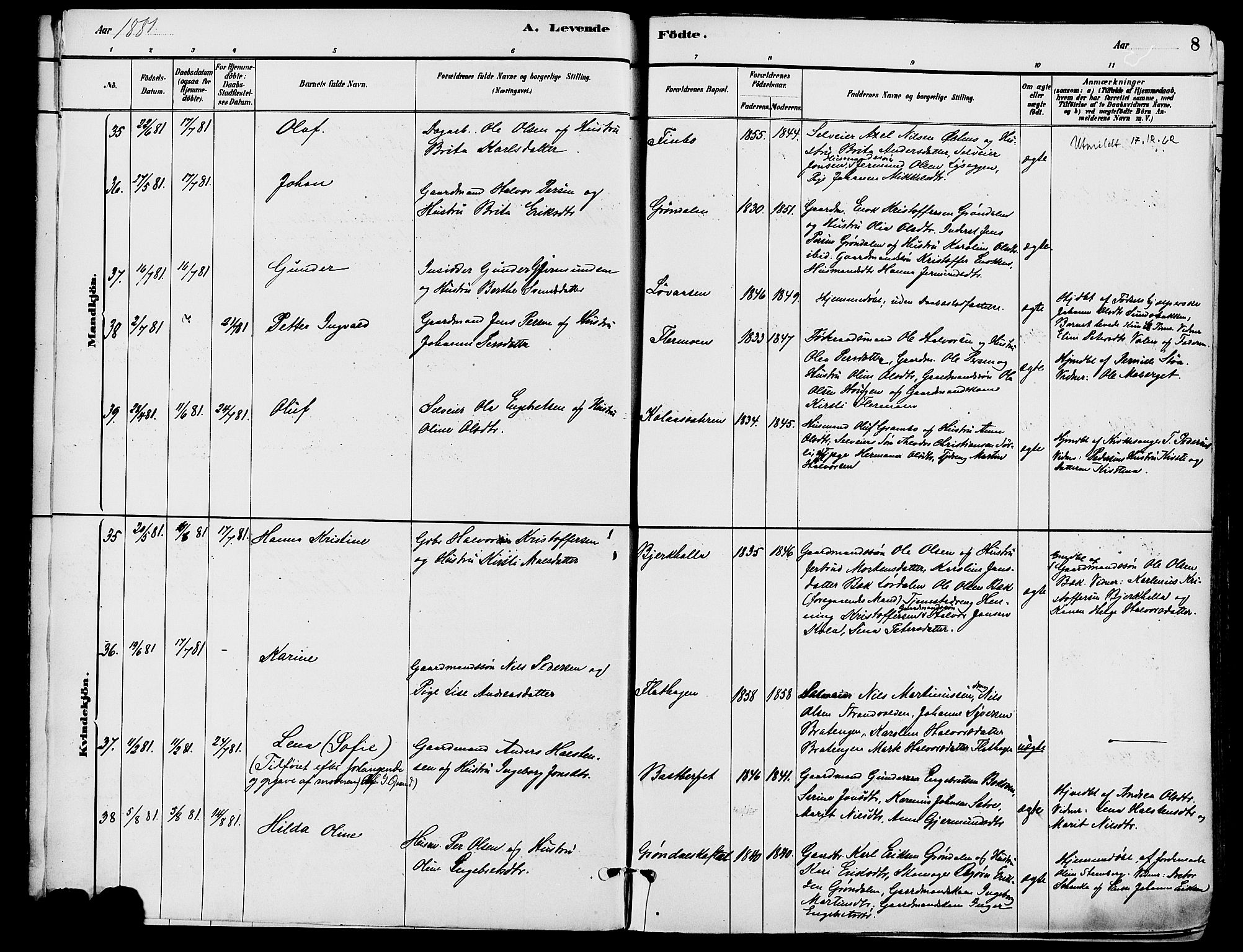 Trysil prestekontor, SAH/PREST-046/H/Ha/Haa/L0008: Ministerialbok nr. 8, 1881-1897, s. 8