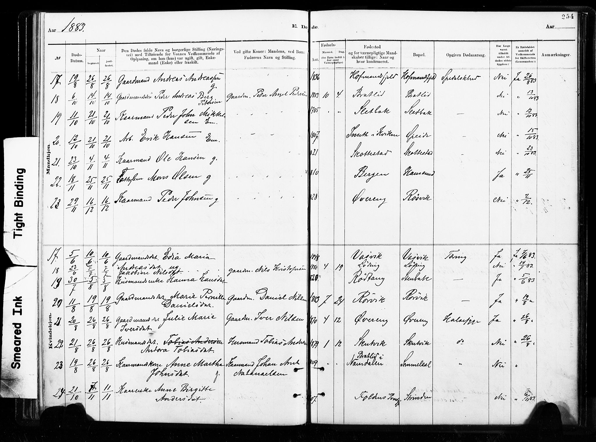 Ministerialprotokoller, klokkerbøker og fødselsregistre - Nordland, AV/SAT-A-1459/859/L0846: Ministerialbok nr. 859A06, 1878-1889, s. 254