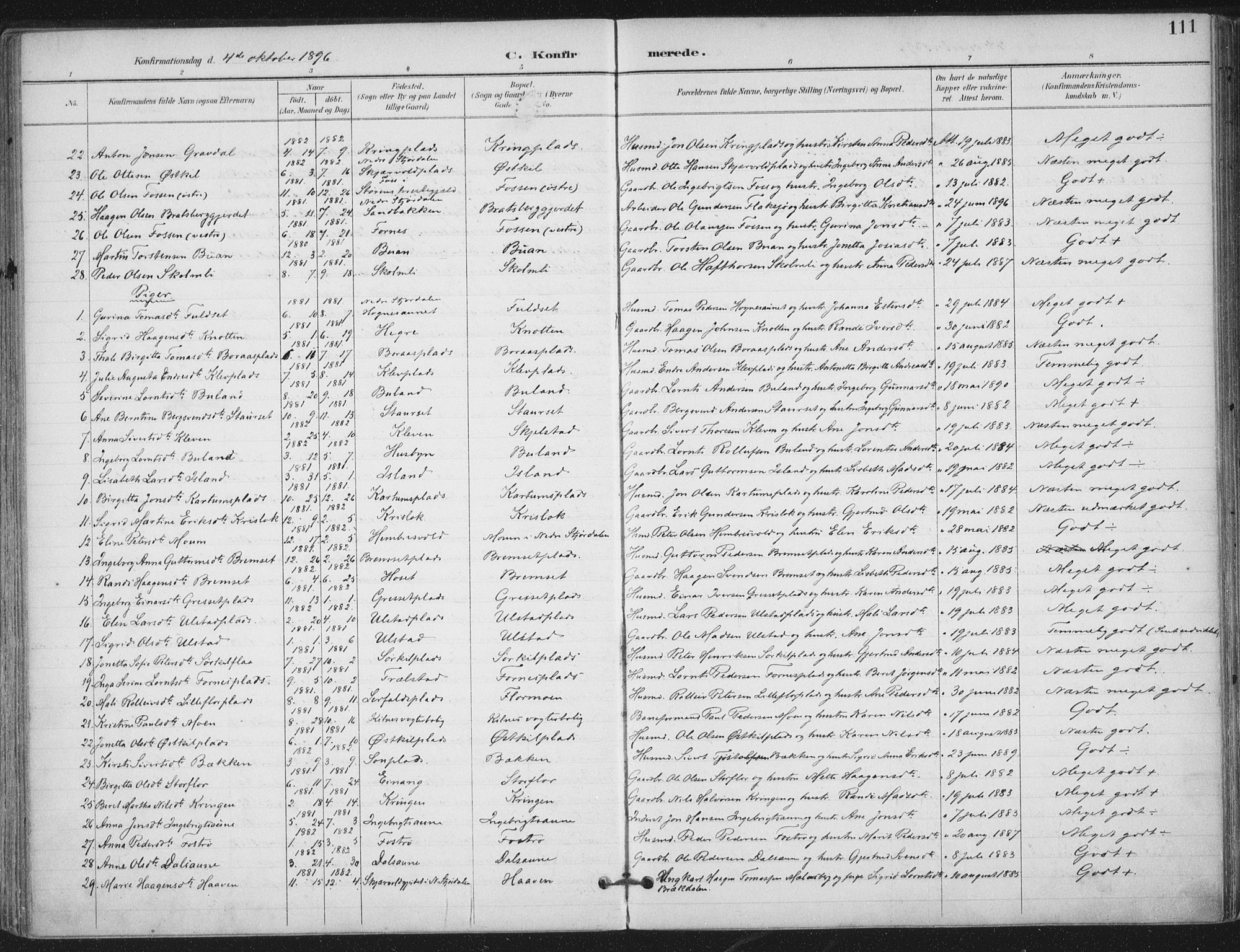 Ministerialprotokoller, klokkerbøker og fødselsregistre - Nord-Trøndelag, AV/SAT-A-1458/703/L0031: Ministerialbok nr. 703A04, 1893-1914, s. 111