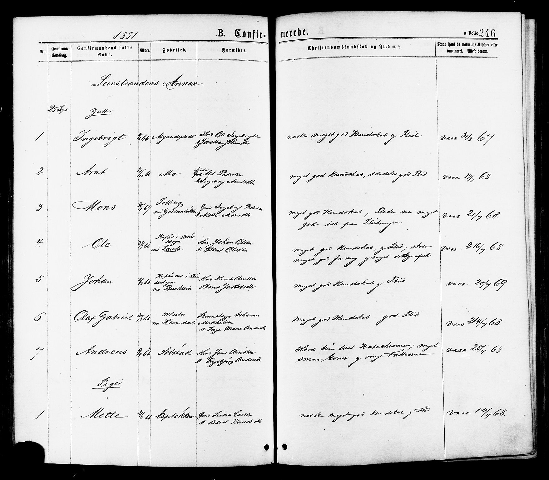 Ministerialprotokoller, klokkerbøker og fødselsregistre - Sør-Trøndelag, AV/SAT-A-1456/691/L1079: Ministerialbok nr. 691A11, 1873-1886, s. 246