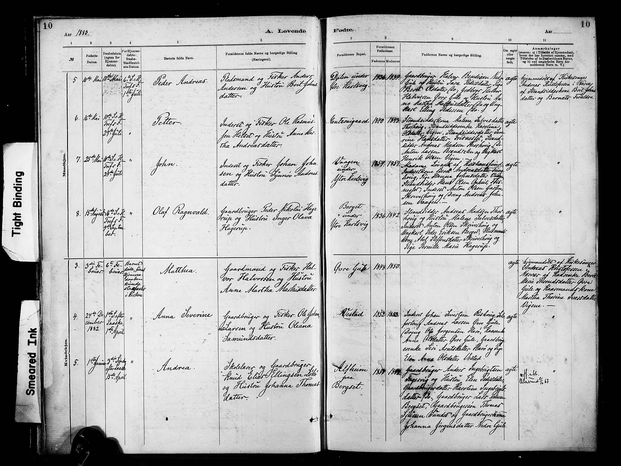Ministerialprotokoller, klokkerbøker og fødselsregistre - Møre og Romsdal, AV/SAT-A-1454/566/L0769: Ministerialbok nr. 566A08, 1881-1903, s. 10