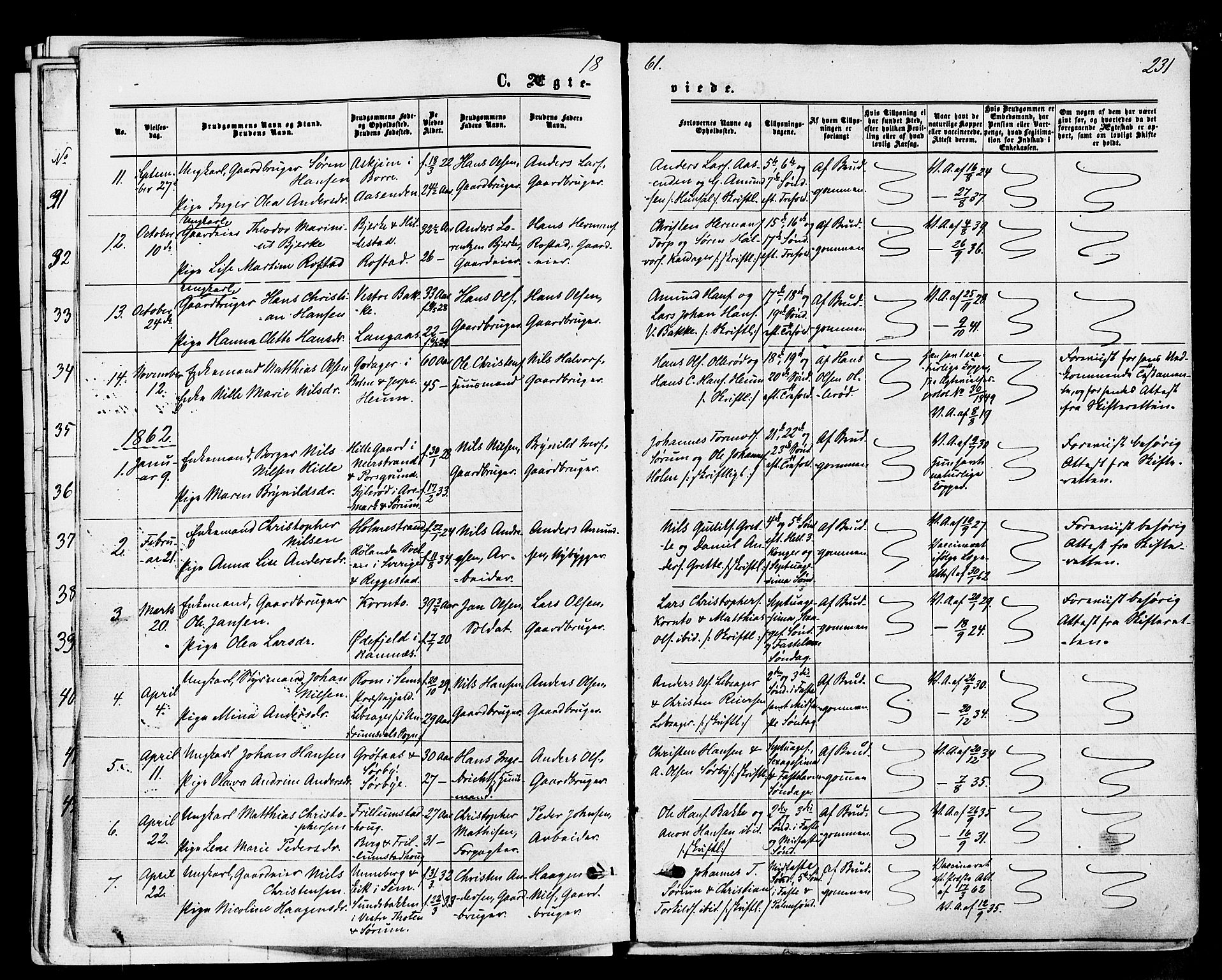 Våle kirkebøker, AV/SAKO-A-334/F/Fa/L0010: Ministerialbok nr. I 10, 1861-1877, s. 231