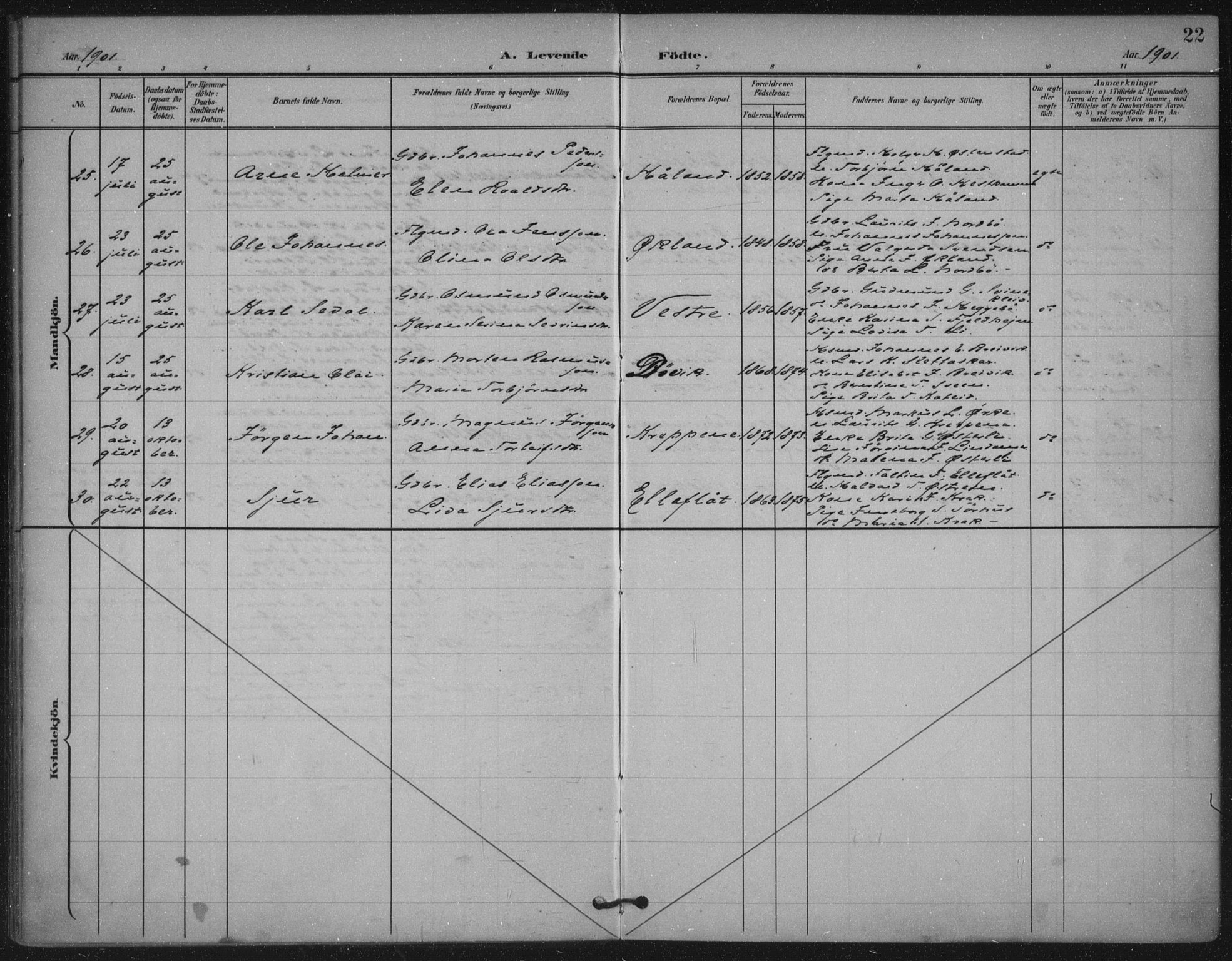 Skjold sokneprestkontor, AV/SAST-A-101847/H/Ha/Haa/L0011: Ministerialbok nr. A 11, 1897-1914, s. 22