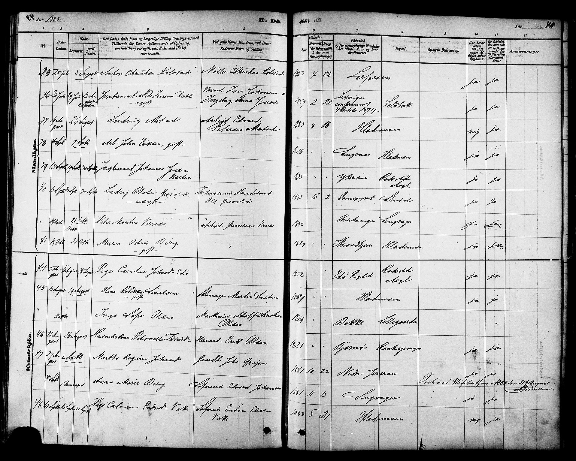 Ministerialprotokoller, klokkerbøker og fødselsregistre - Sør-Trøndelag, SAT/A-1456/606/L0294: Ministerialbok nr. 606A09, 1878-1886, s. 411