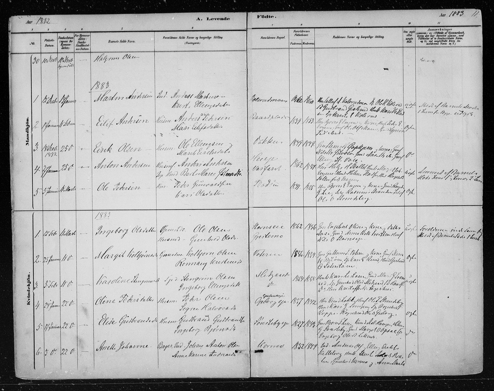 Nes kirkebøker, AV/SAKO-A-236/F/Fa/L0012: Ministerialbok nr. 12, 1881-1917, s. 11
