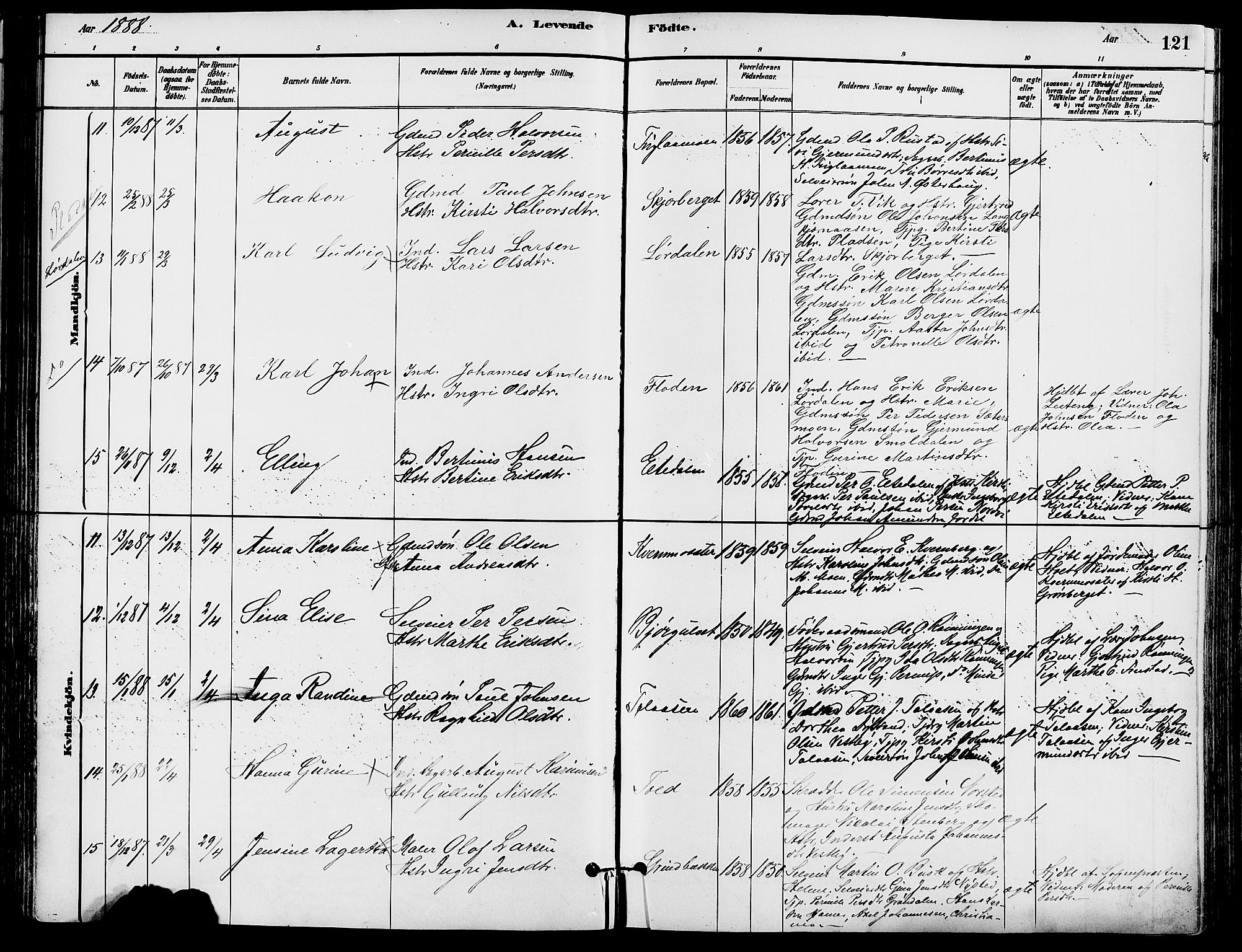 Trysil prestekontor, AV/SAH-PREST-046/H/Ha/Haa/L0008: Ministerialbok nr. 8, 1881-1897, s. 121