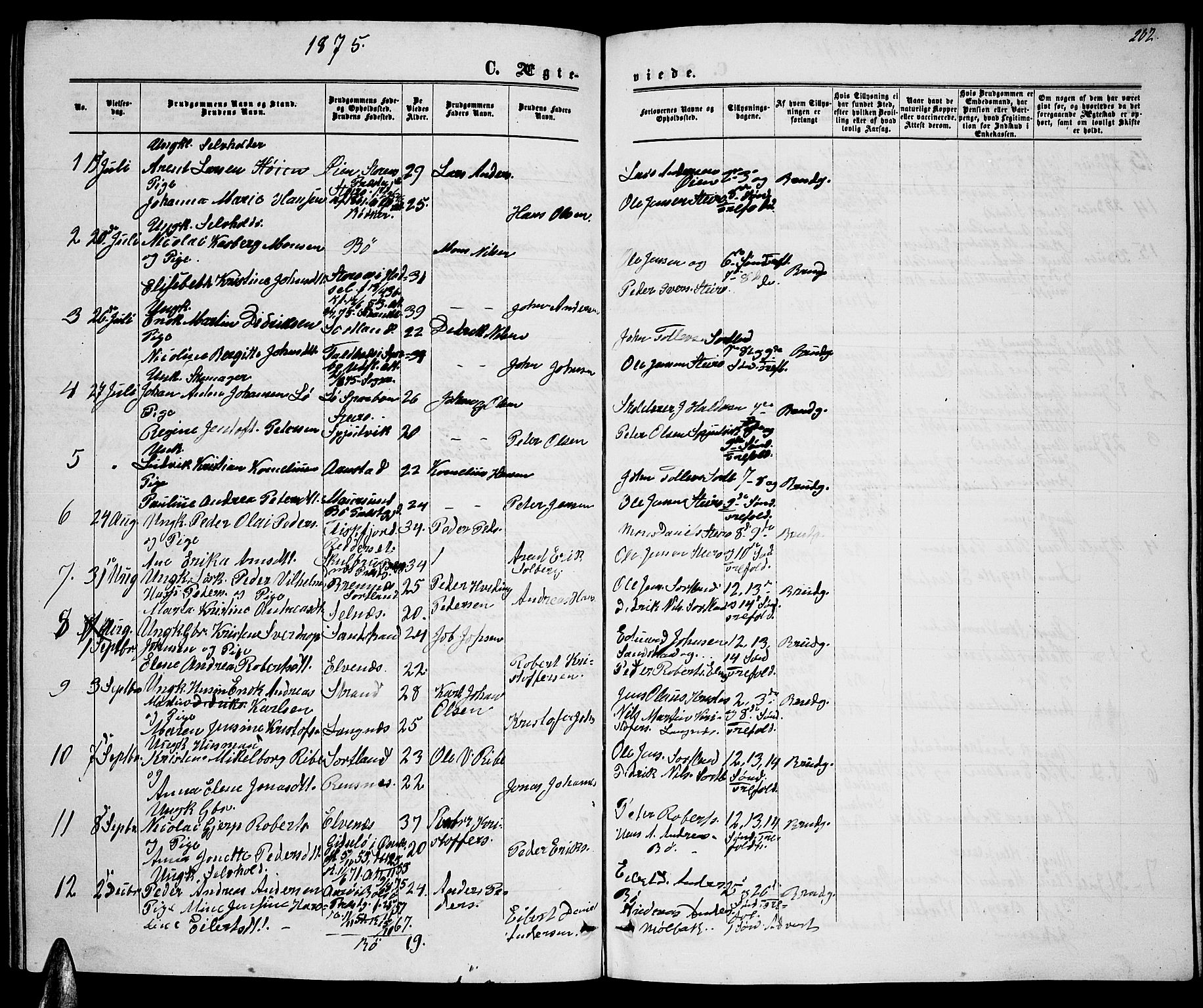 Ministerialprotokoller, klokkerbøker og fødselsregistre - Nordland, AV/SAT-A-1459/895/L1381: Klokkerbok nr. 895C03, 1864-1885, s. 202