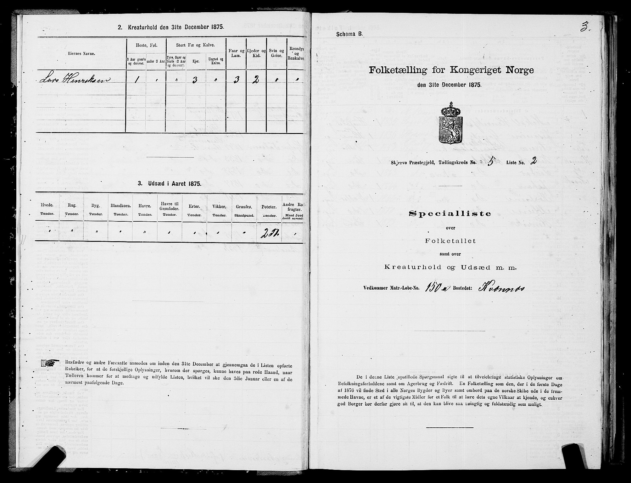 SATØ, Folketelling 1875 for 1941P Skjervøy prestegjeld, 1875, s. 4003