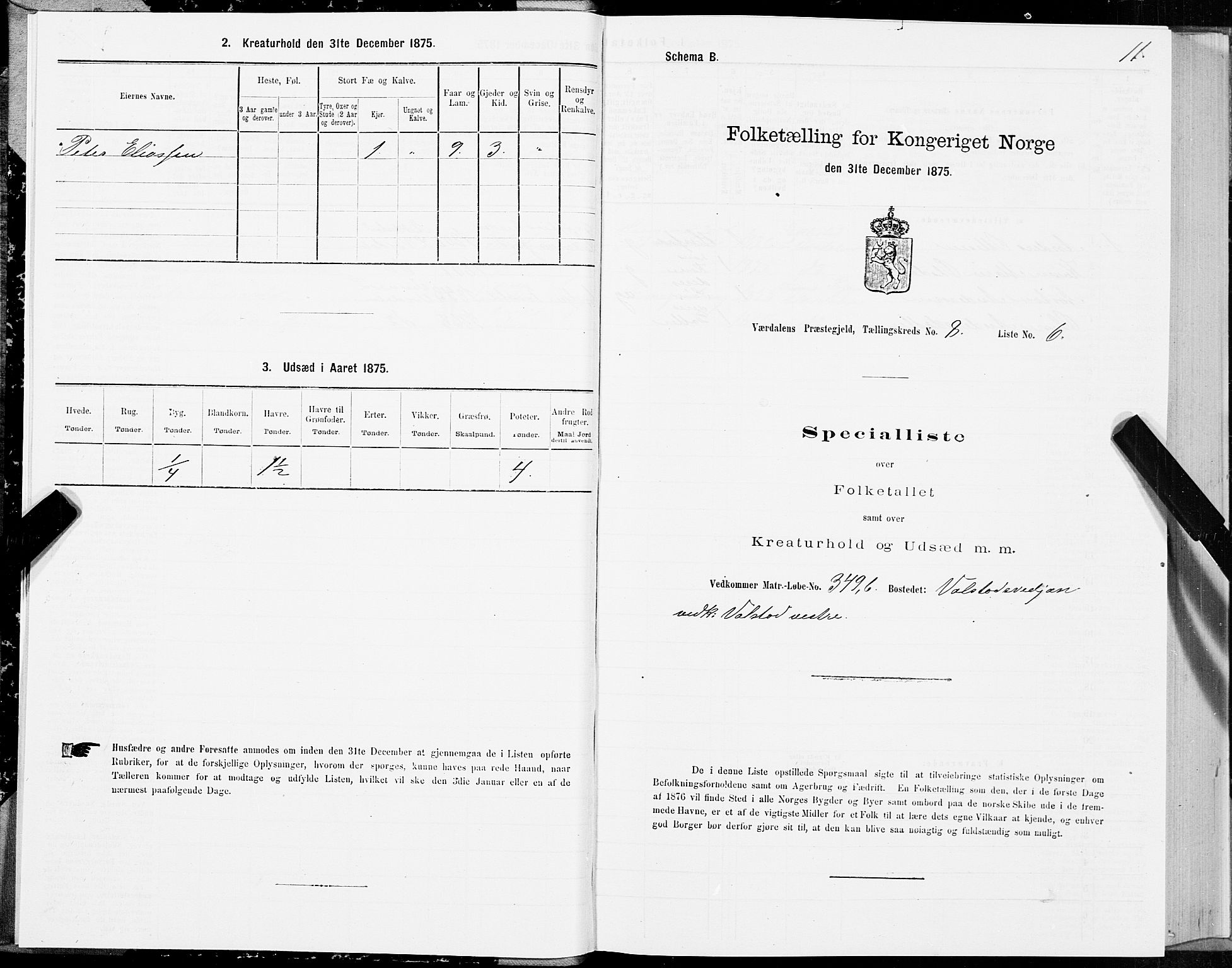 SAT, Folketelling 1875 for 1721P Verdal prestegjeld, 1875, s. 5011