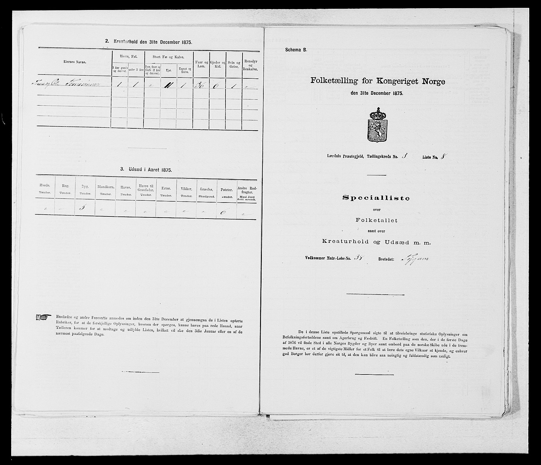 SAB, Folketelling 1875 for 1422P Lærdal prestegjeld, 1875, s. 1079