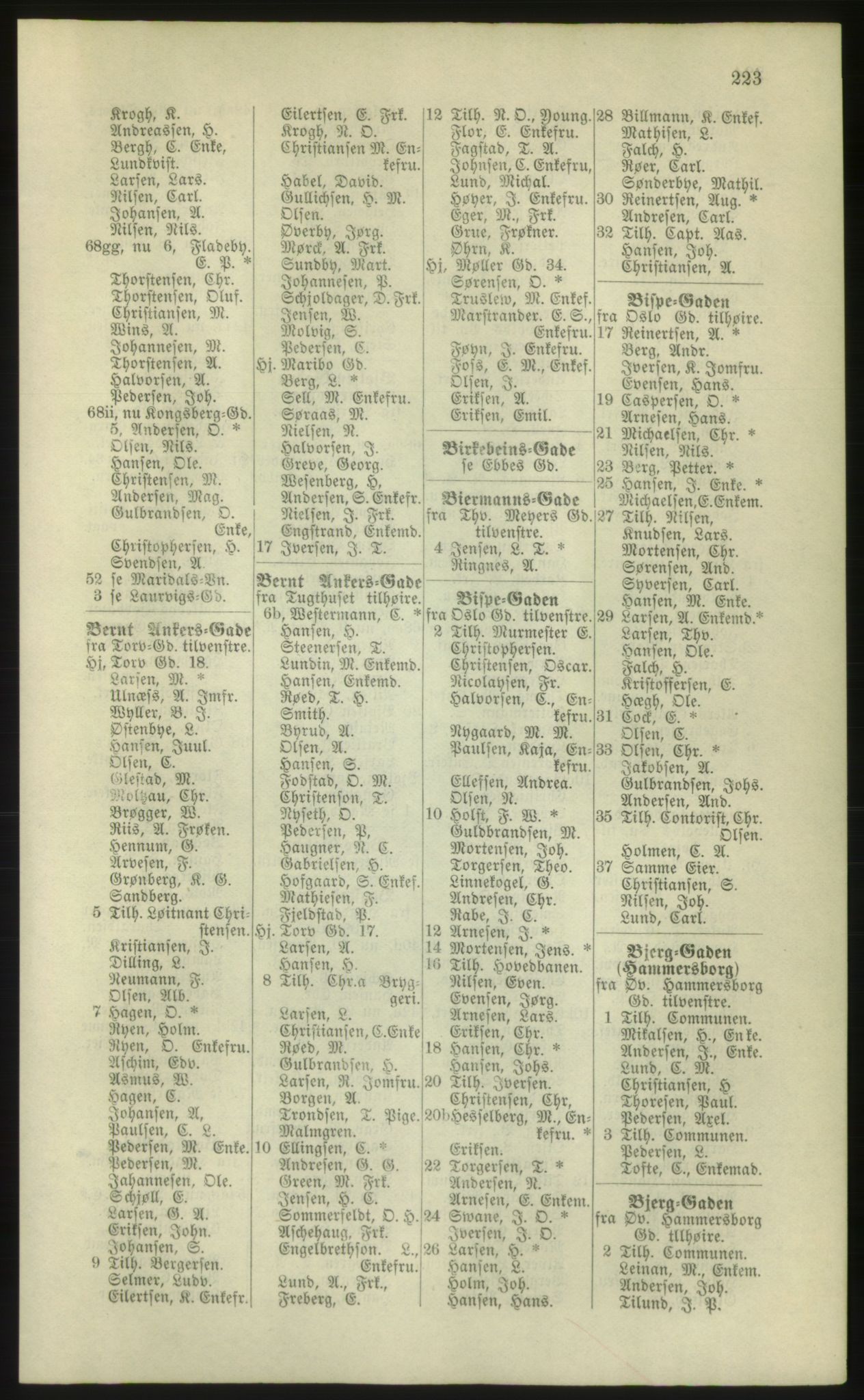 Kristiania/Oslo adressebok, PUBL/-, 1881, s. 223